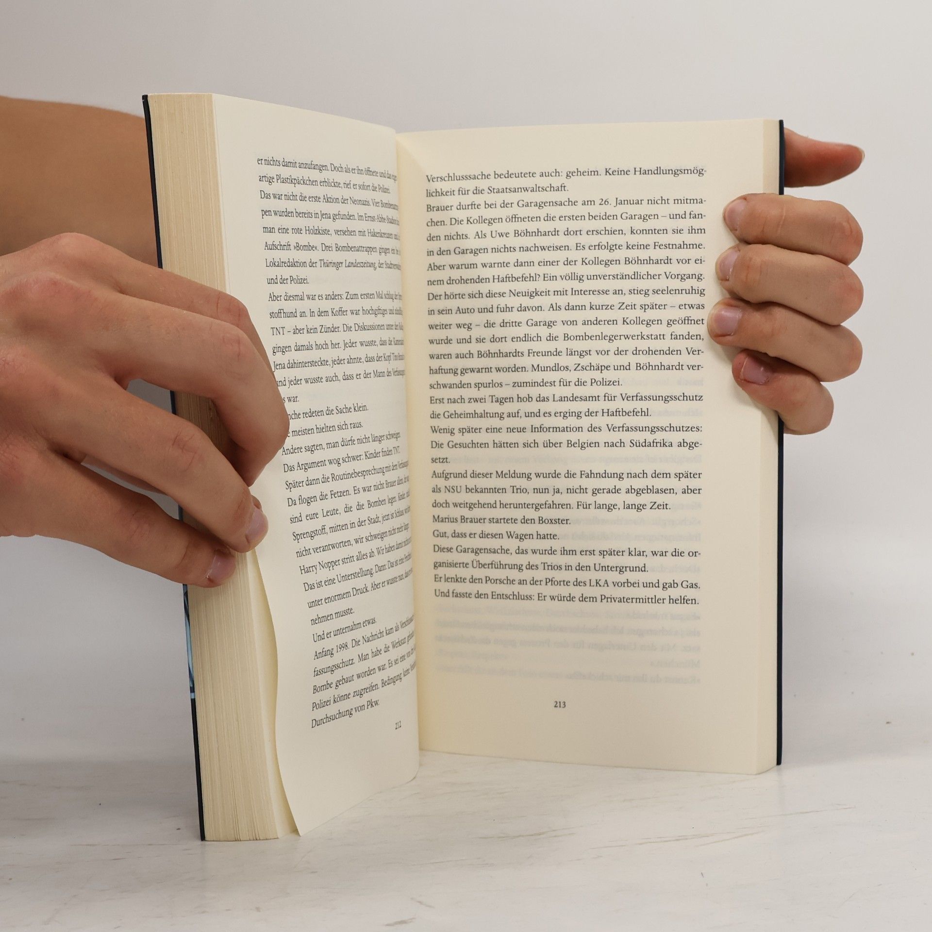 Wolfgang Schorlau Die schützende Hand