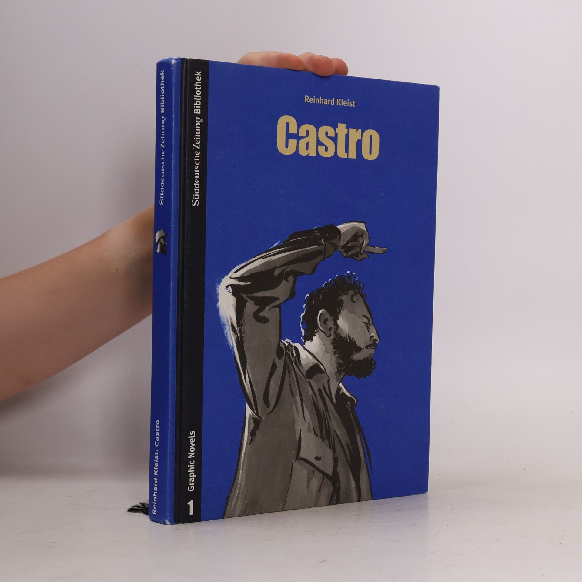 Reinhard Kleist Castro