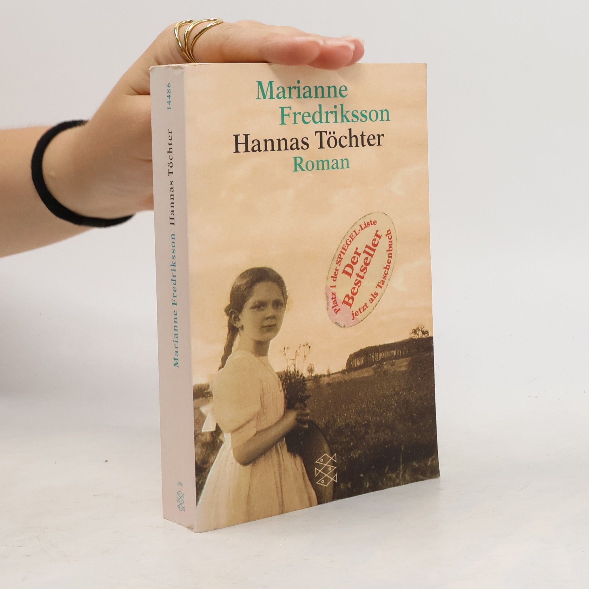 Marianne Fredriksson Hannas Töchter