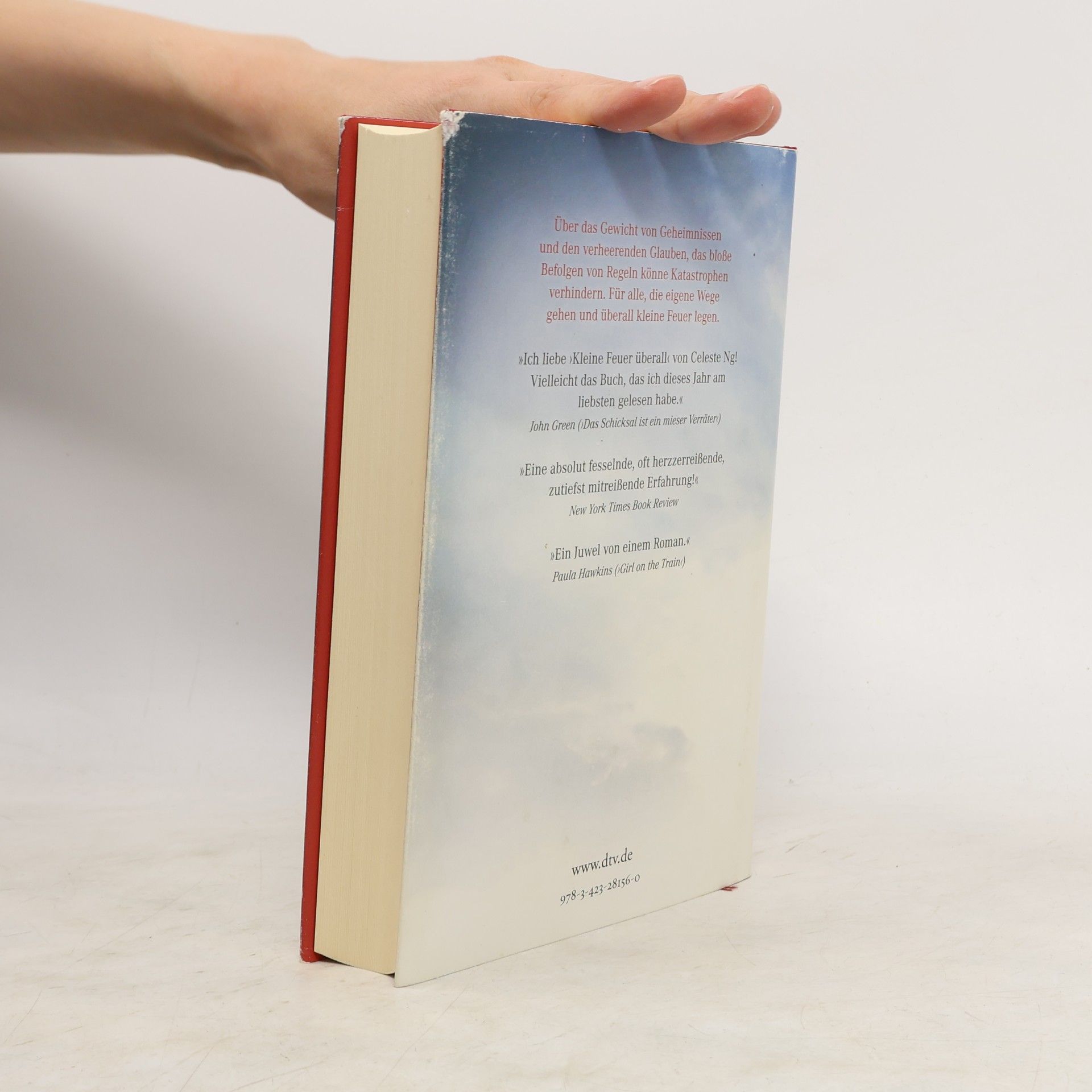Celeste Ng Kleine Feuer überall