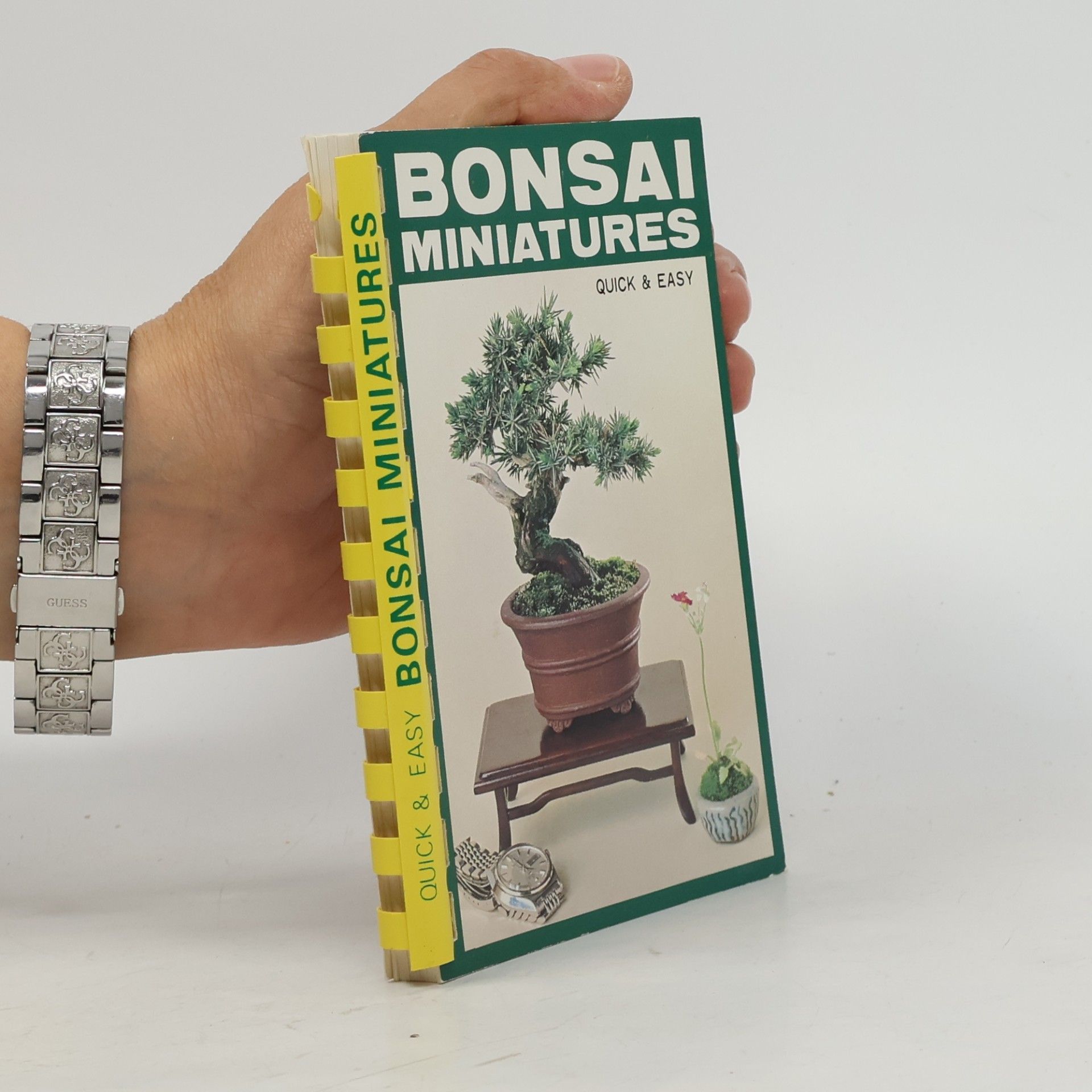 Zekō Nakamura Bonsai Miniatures