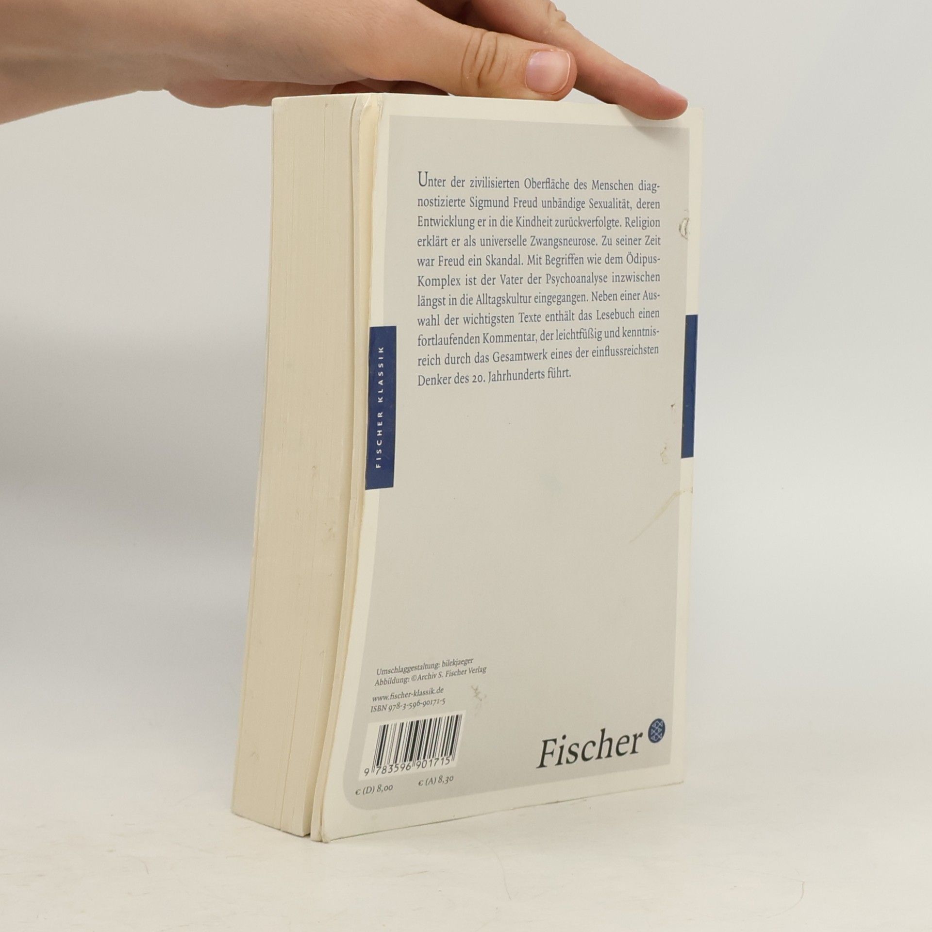 Sigmund Freud Das große Lesebuch