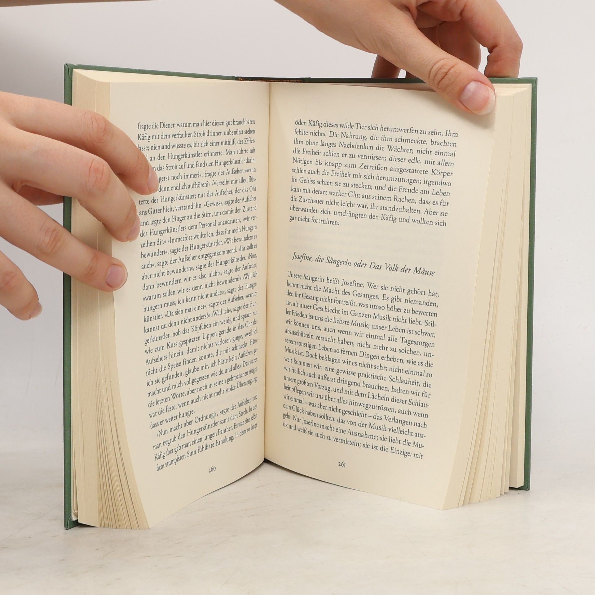 Franz Kafka Kafka - Sämtliche Erzählungen. Schmuckausgabe mit Kupferprägung