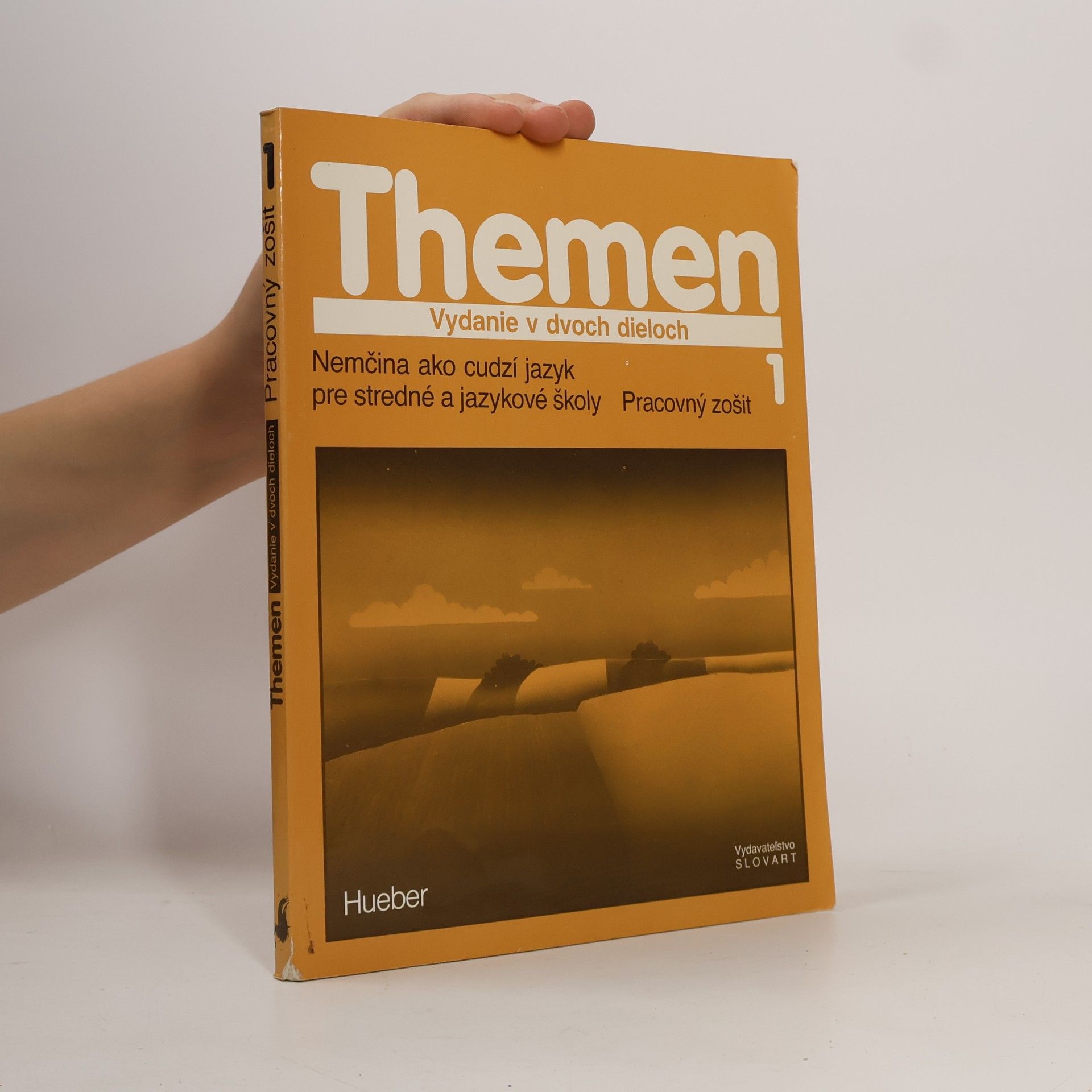 Hartmut Aufderstrasse Themen 1