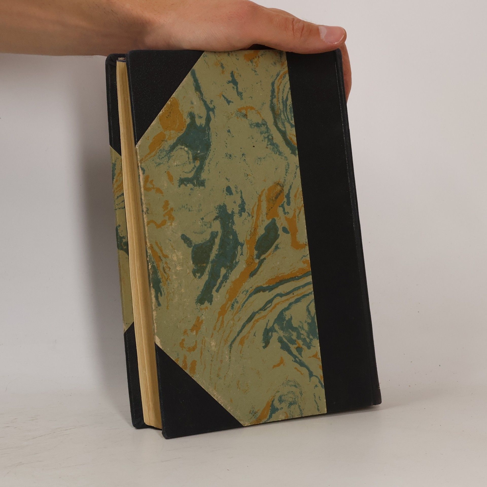 Adam Schwappach Handbuch der Forst- und Jagdgeschichte Deutschlands I.