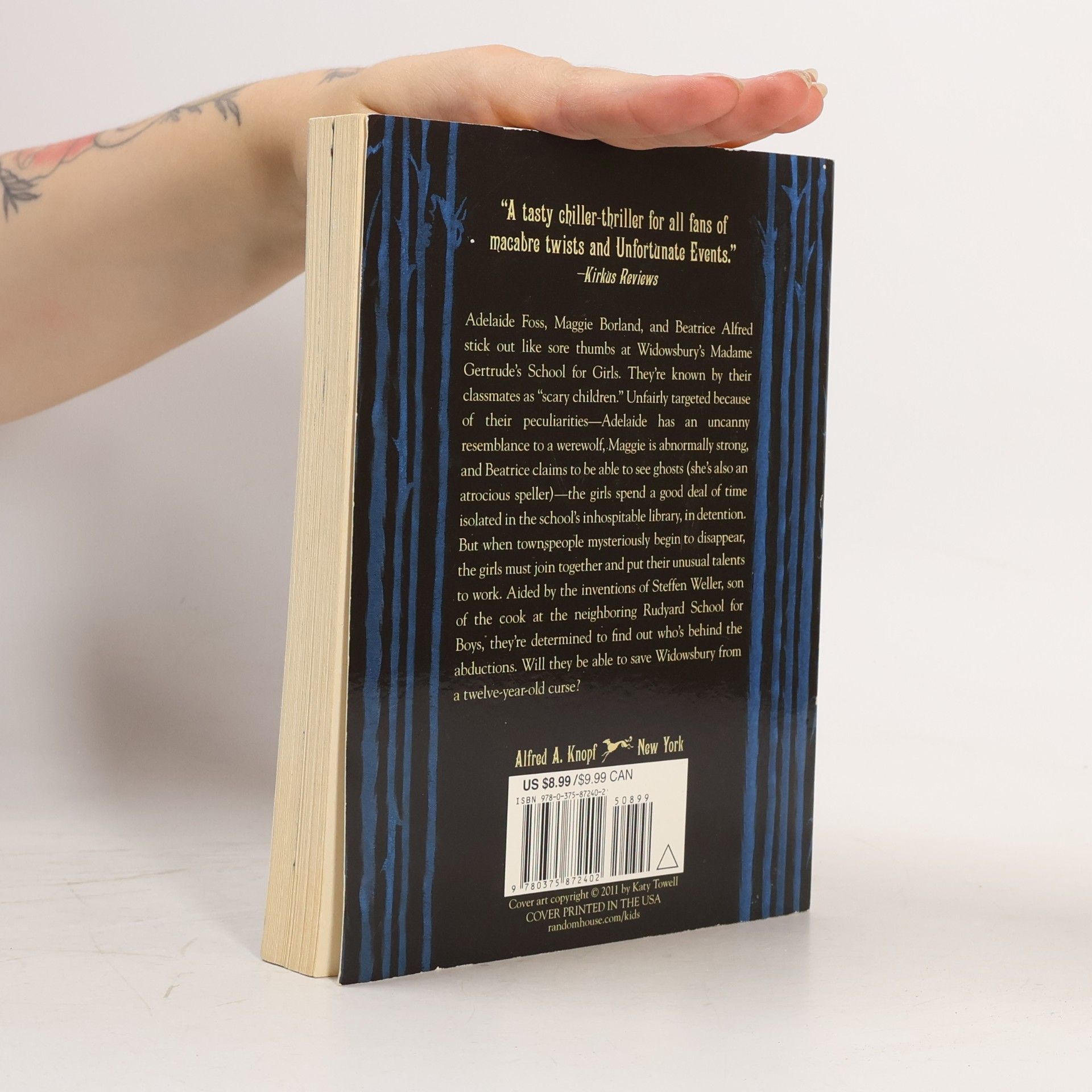 Katy Towell Skary Childrin And The Carousel Of Sorrow