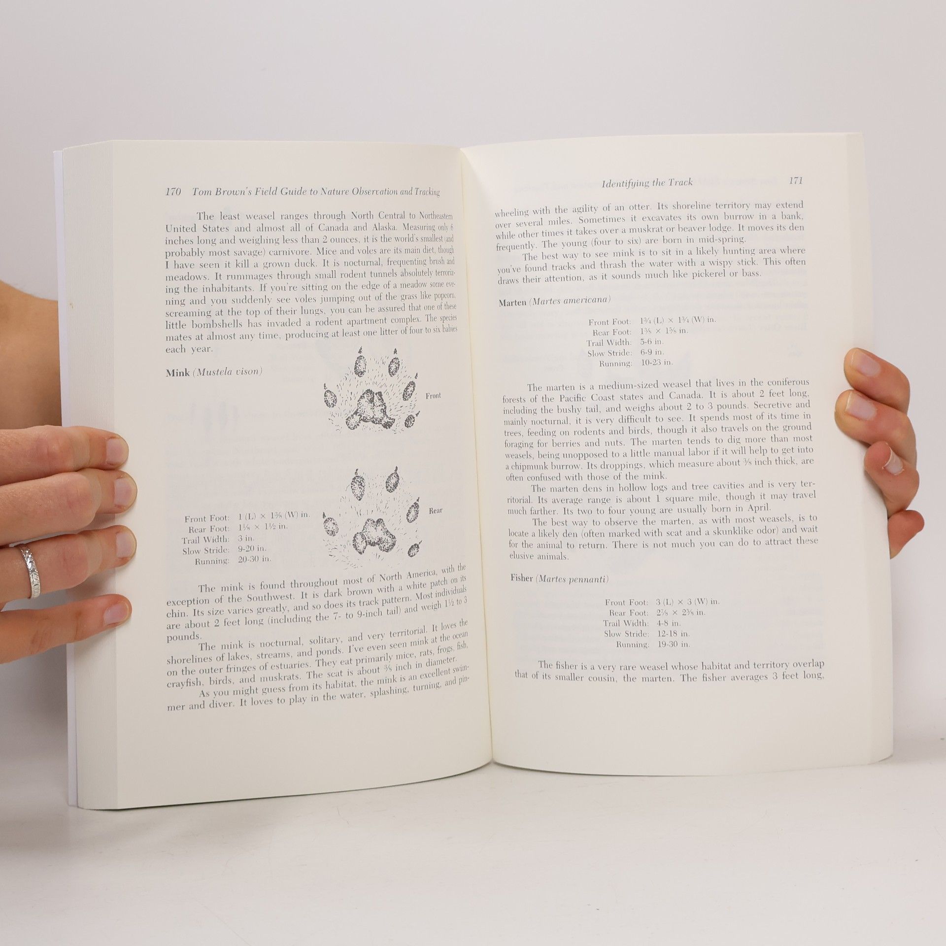 Tom Jr. Brown Tom Brown's Field Guide to Nature Observation and Tracking