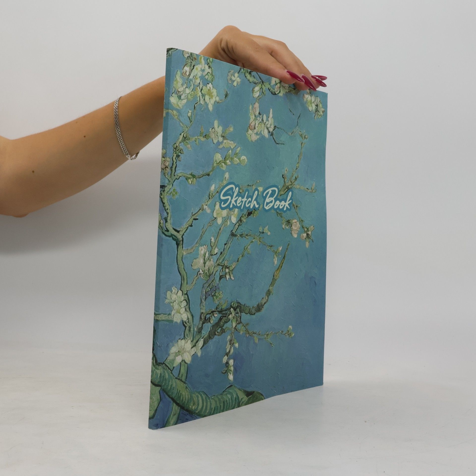 Llama Bird Press Sketch Book: Drawing Notebook for Sketching, Doodling, Writing, Art Journaling, A4 Sketchbook (Van Gogh Art Cover Vol.5)