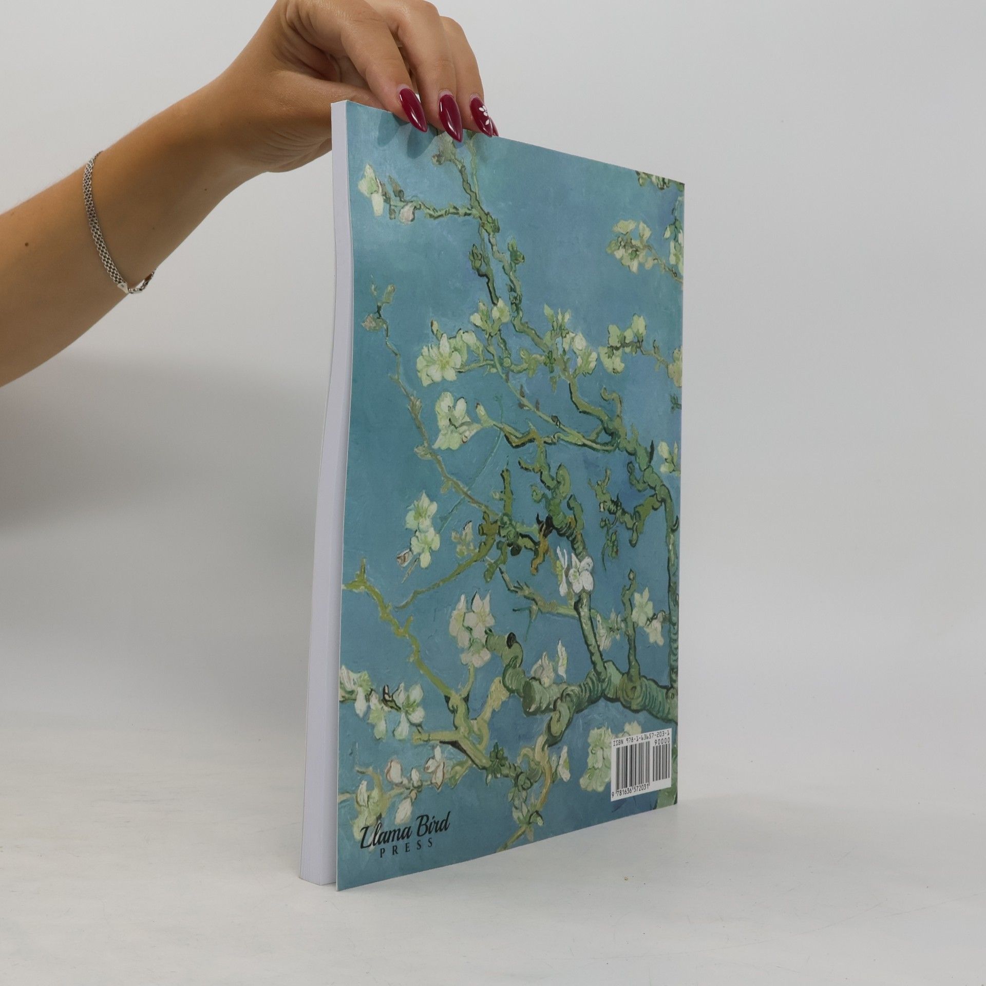 Llama Bird Press Sketch Book: Drawing Notebook for Sketching, Doodling, Writing, Art Journaling, A4 Sketchbook (Van Gogh Art Cover Vol.5)