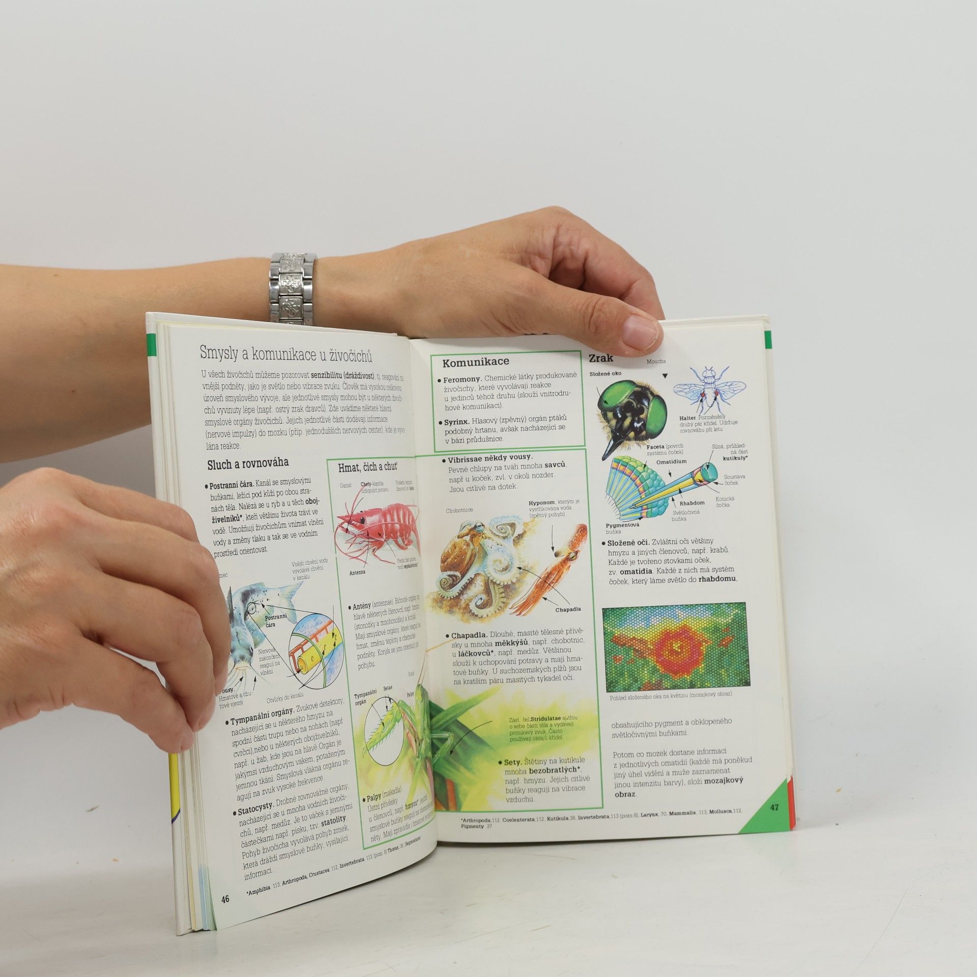 Corinne Stockley Ilustrovaný přehled BIOLOGIE