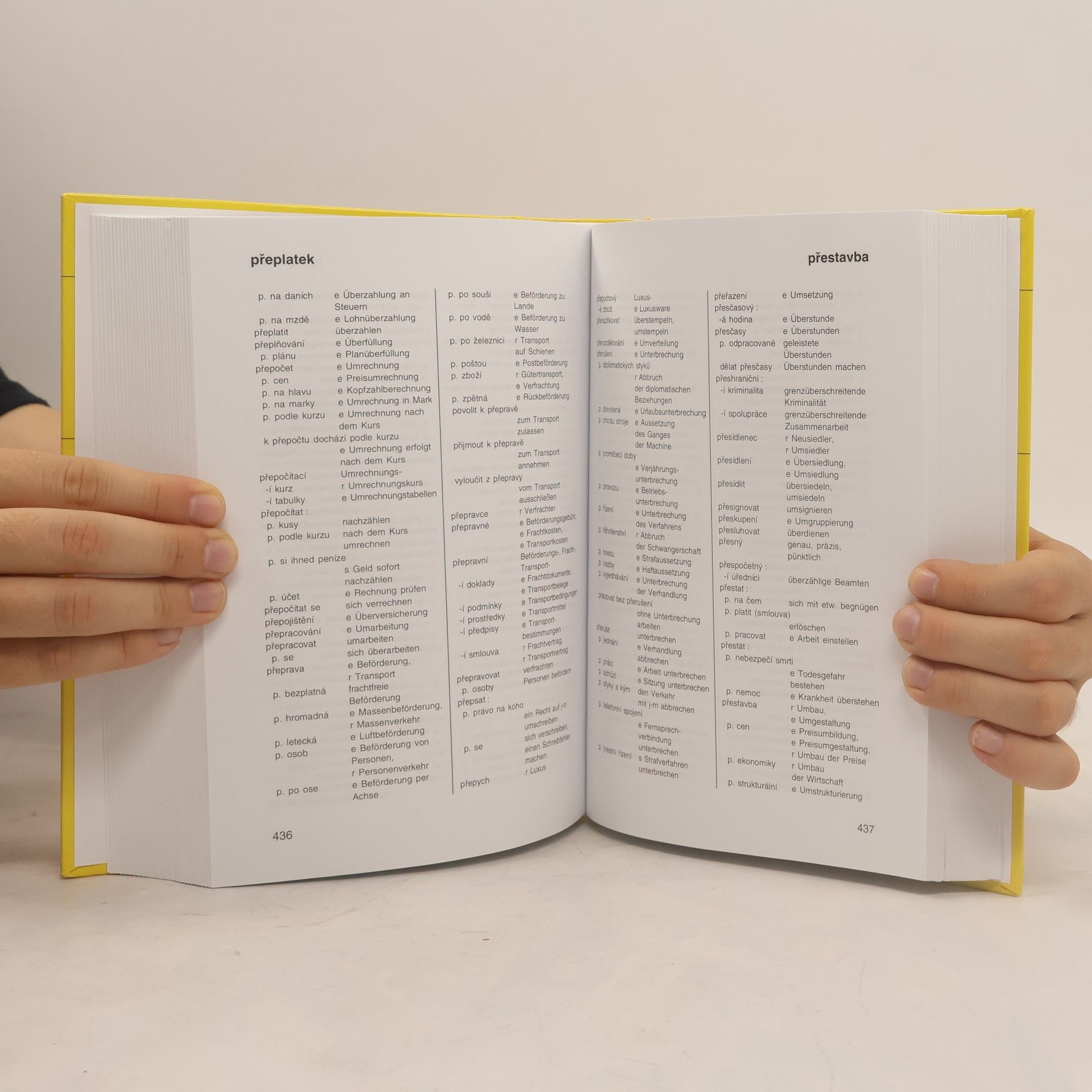 Josef Zlámal Odborný slovník česko-německý z oblasti ekonomické, finanční a právní = [Tschechisch-deutsches Fachwörterbuch Wirtschaft, Finanzen, Recht]