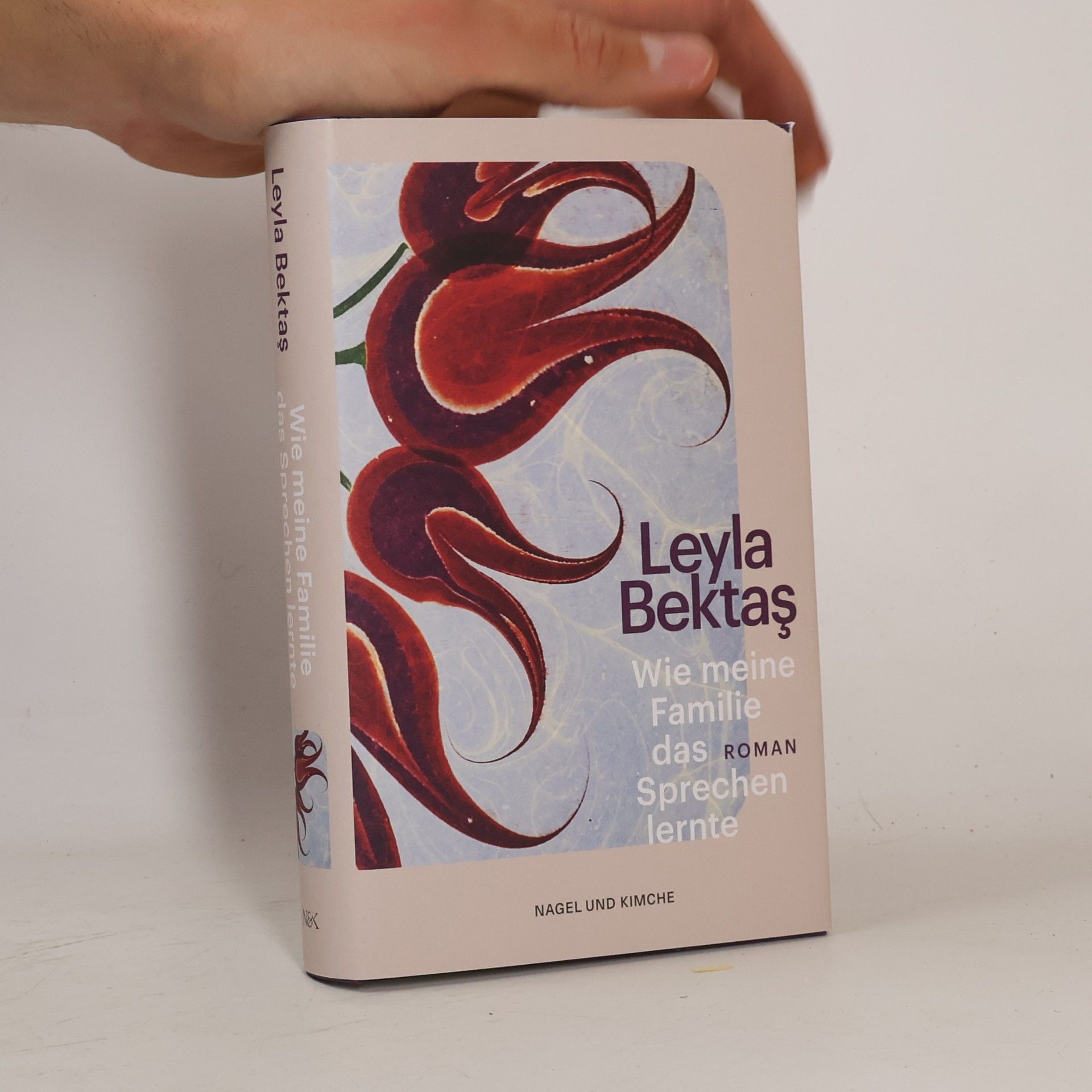 Leyla Bektaş Wie meine Familie das Sprechen lernte. Roman | Debüt | Ein Familienepos mit literarischer Strahlkraft