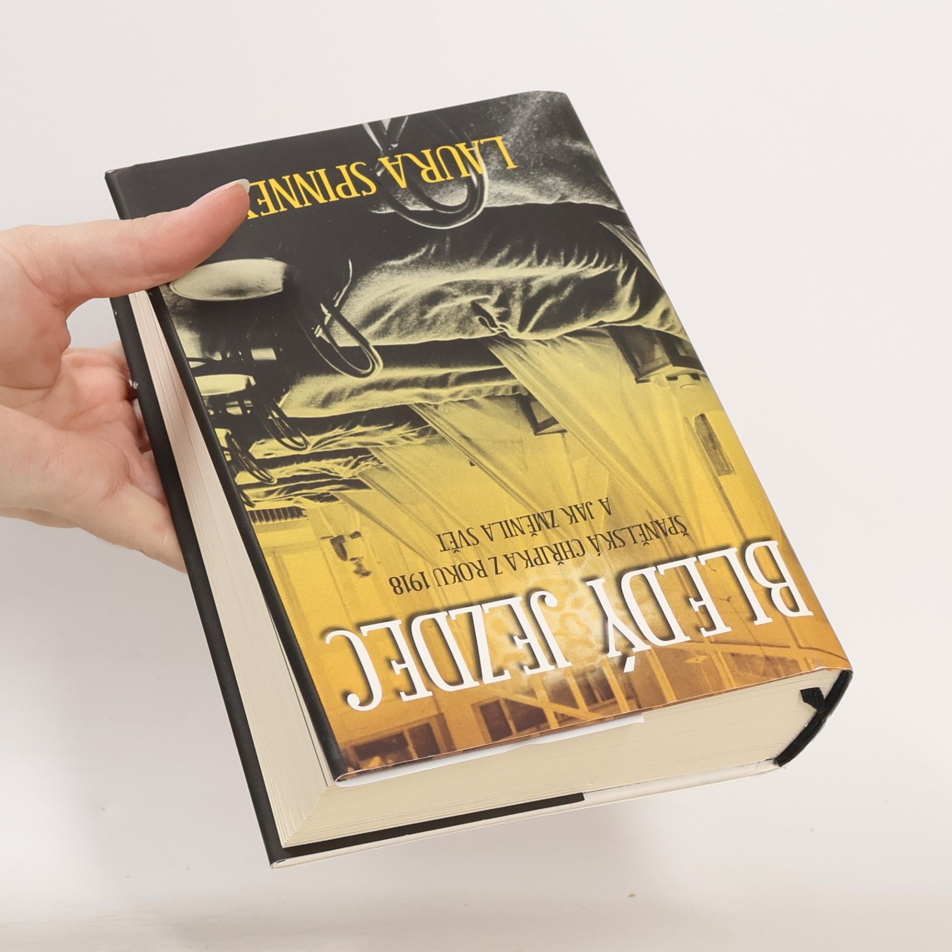 Laura Spinney Bledý jezdec : španělská chřipka roku 1918 a jak změnila svět