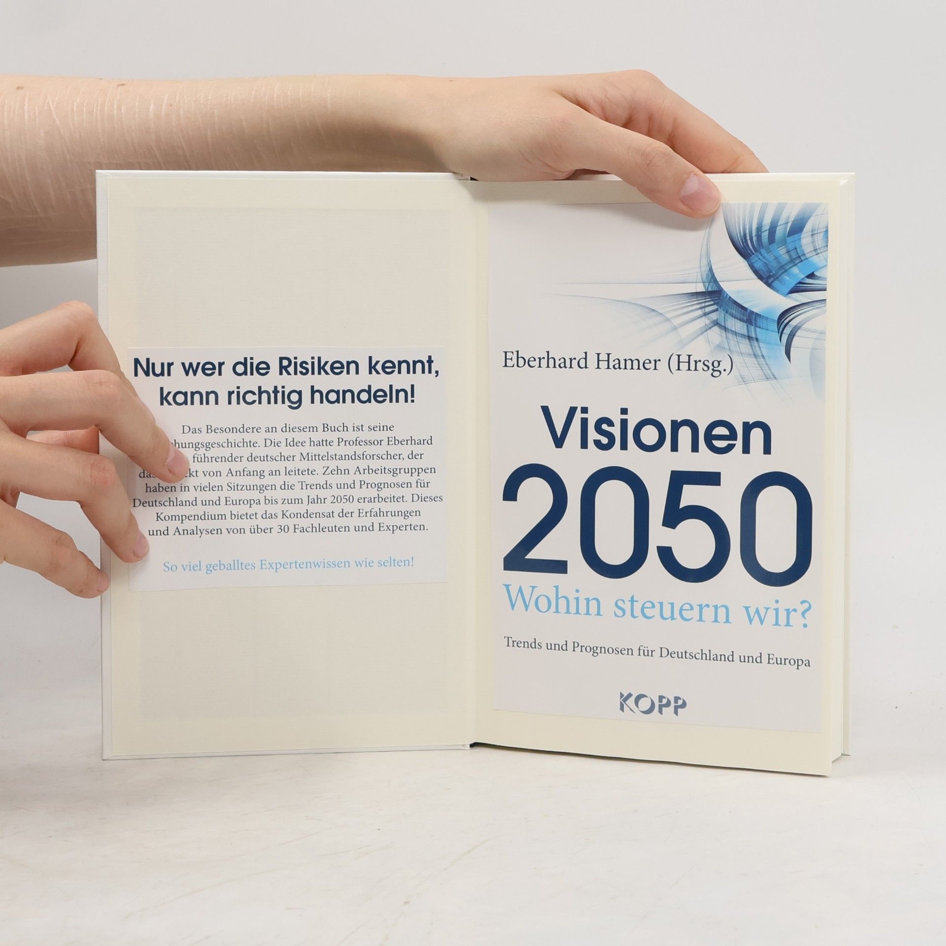 Eberhard Hamer Visionen 2050