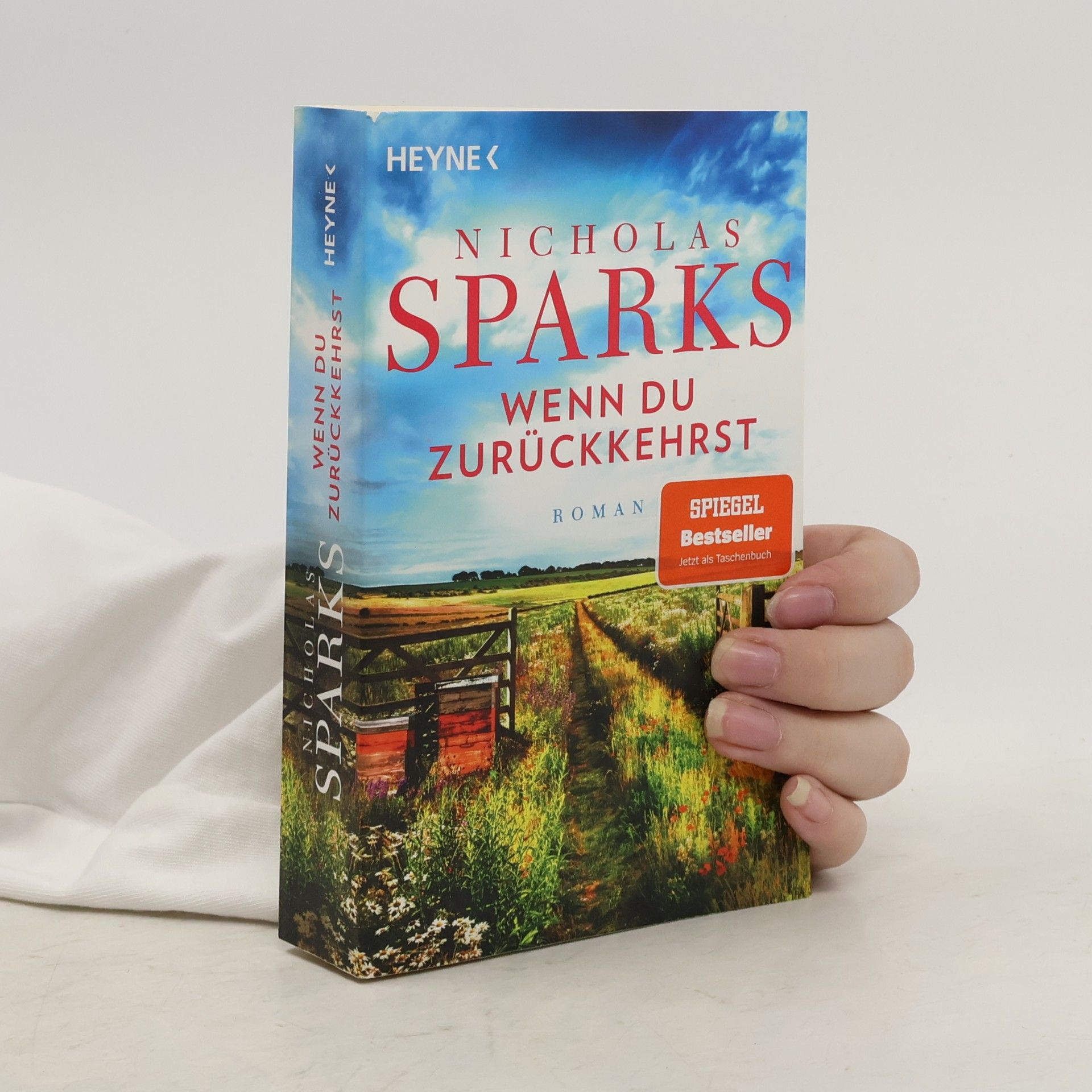 Nicholas Sparks Wenn du zurückkehrst