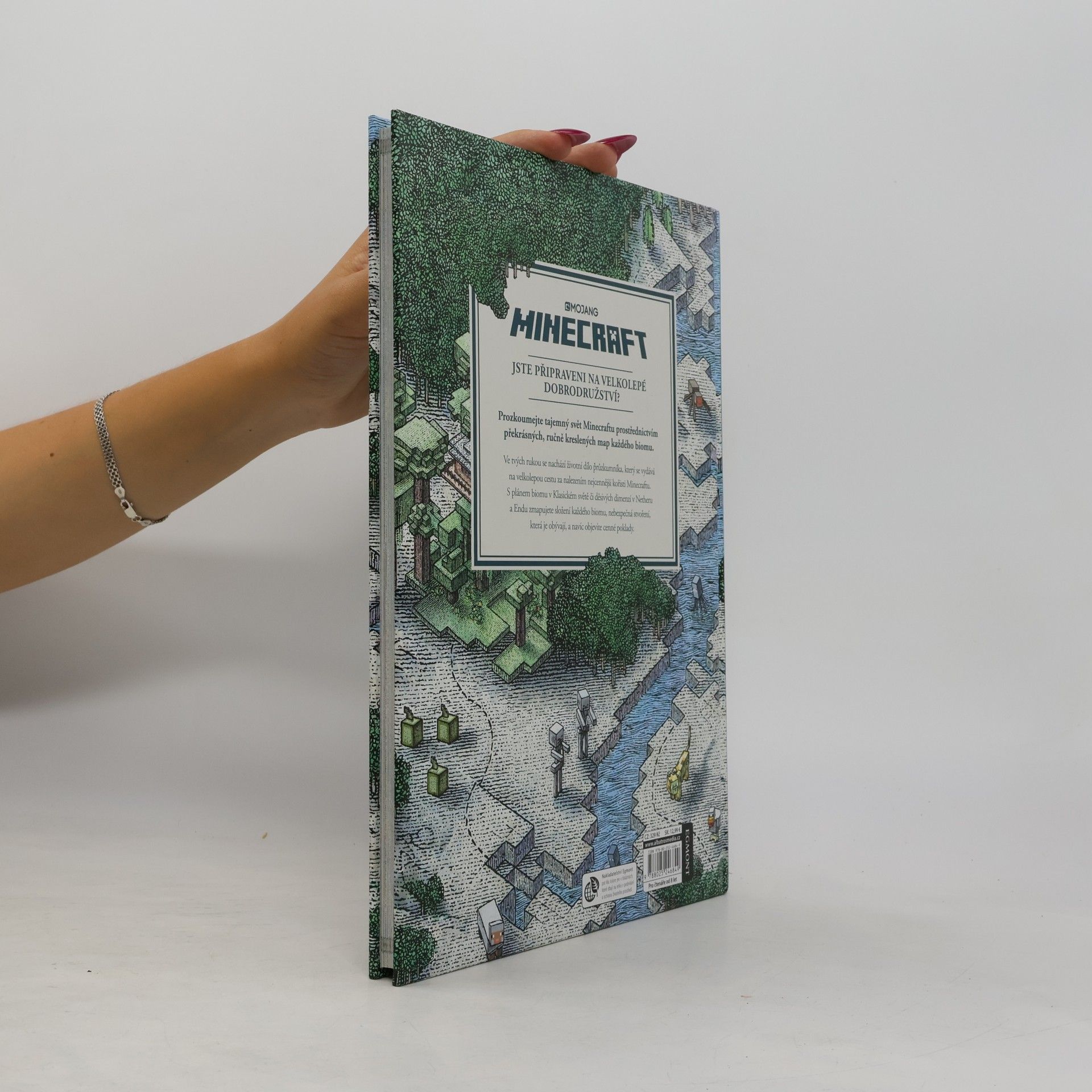 Stephanie Milton Minecraft atlas