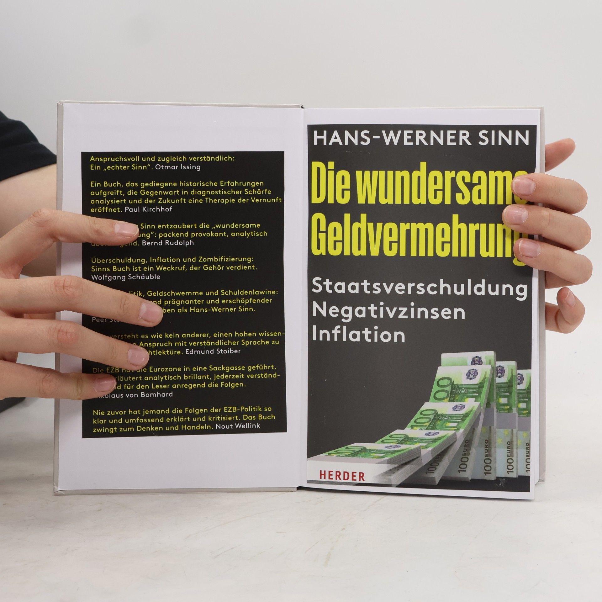 Werner Sinn Die wundersame Geldvermehrung : Staatsverschuldung, Negativzinsen, Inflation