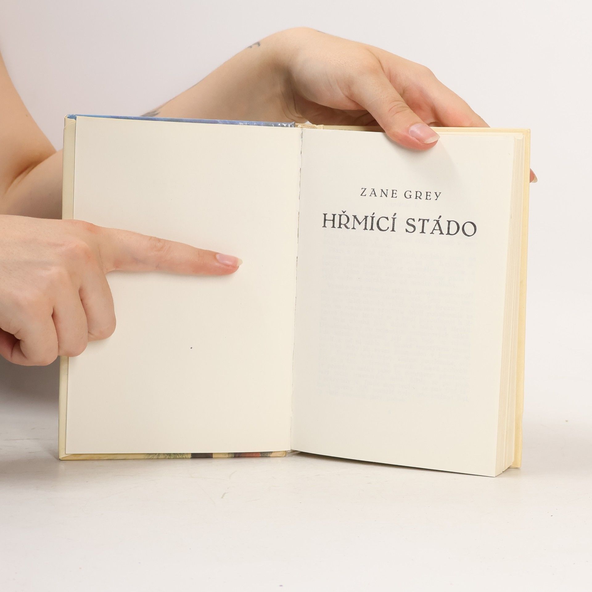 Zane Grey Hřmící stádo