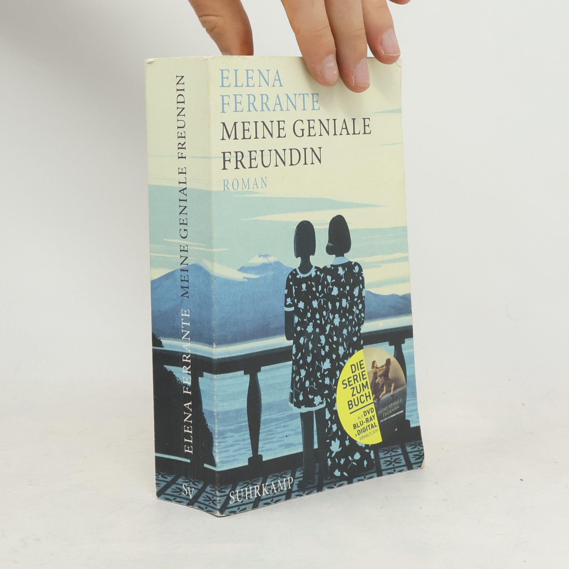 Elena Ferrante Meine geniale Freundin