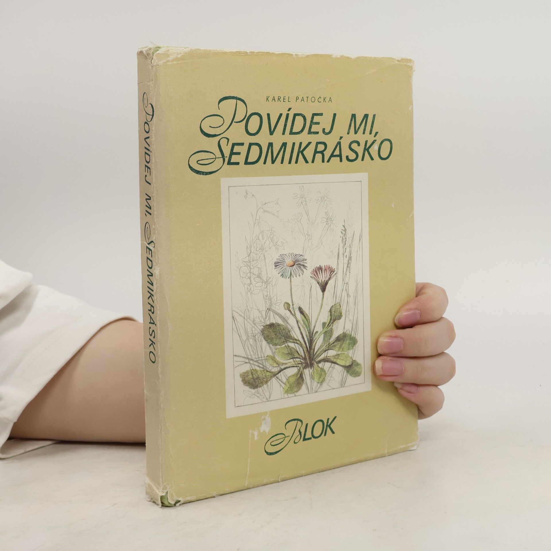 Ludmila Chytilková Povídej mi, sedmikrásko