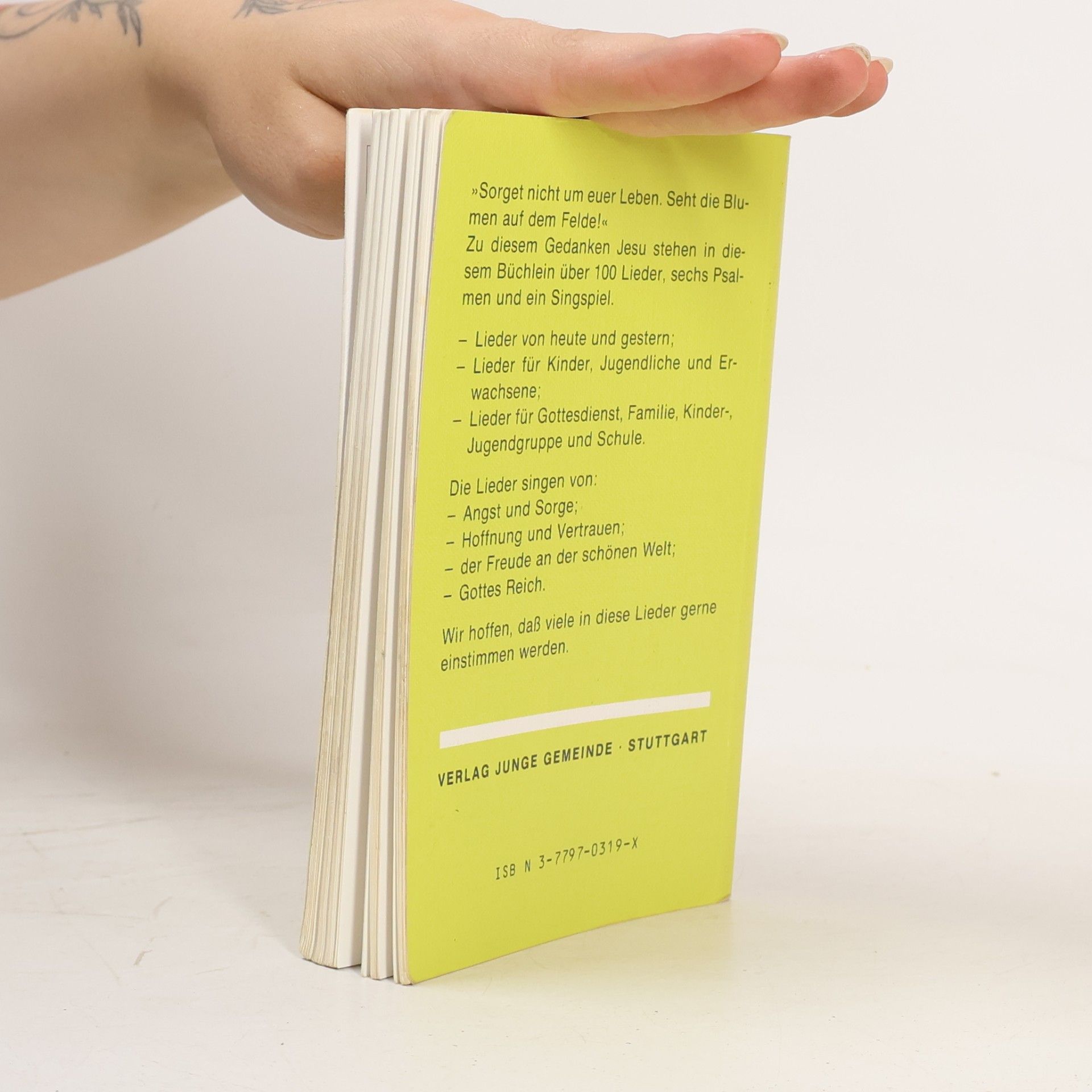 Mal Gottes Regenbogen in das Grau-in-Grau der Welt. Ein Liederbuch für Kinderkirchen und vieles mehr...