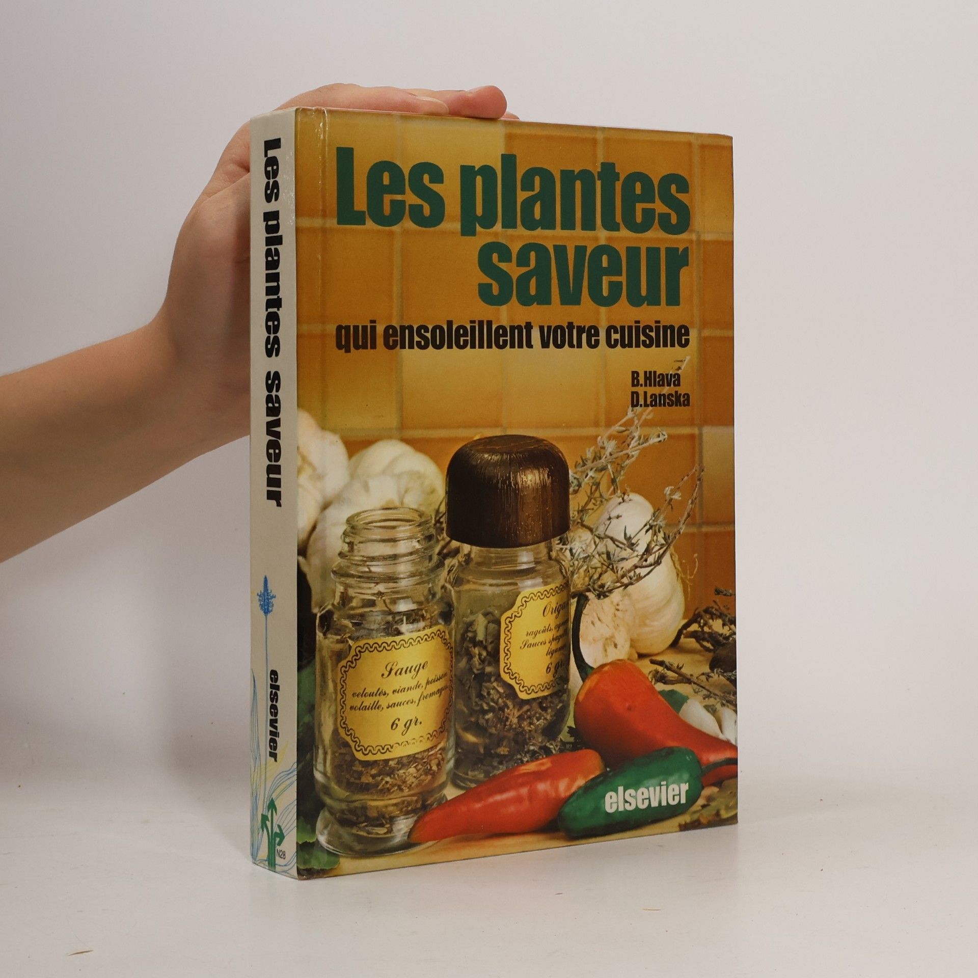 Les plantes saveur qui ensoleillent votre cuisine