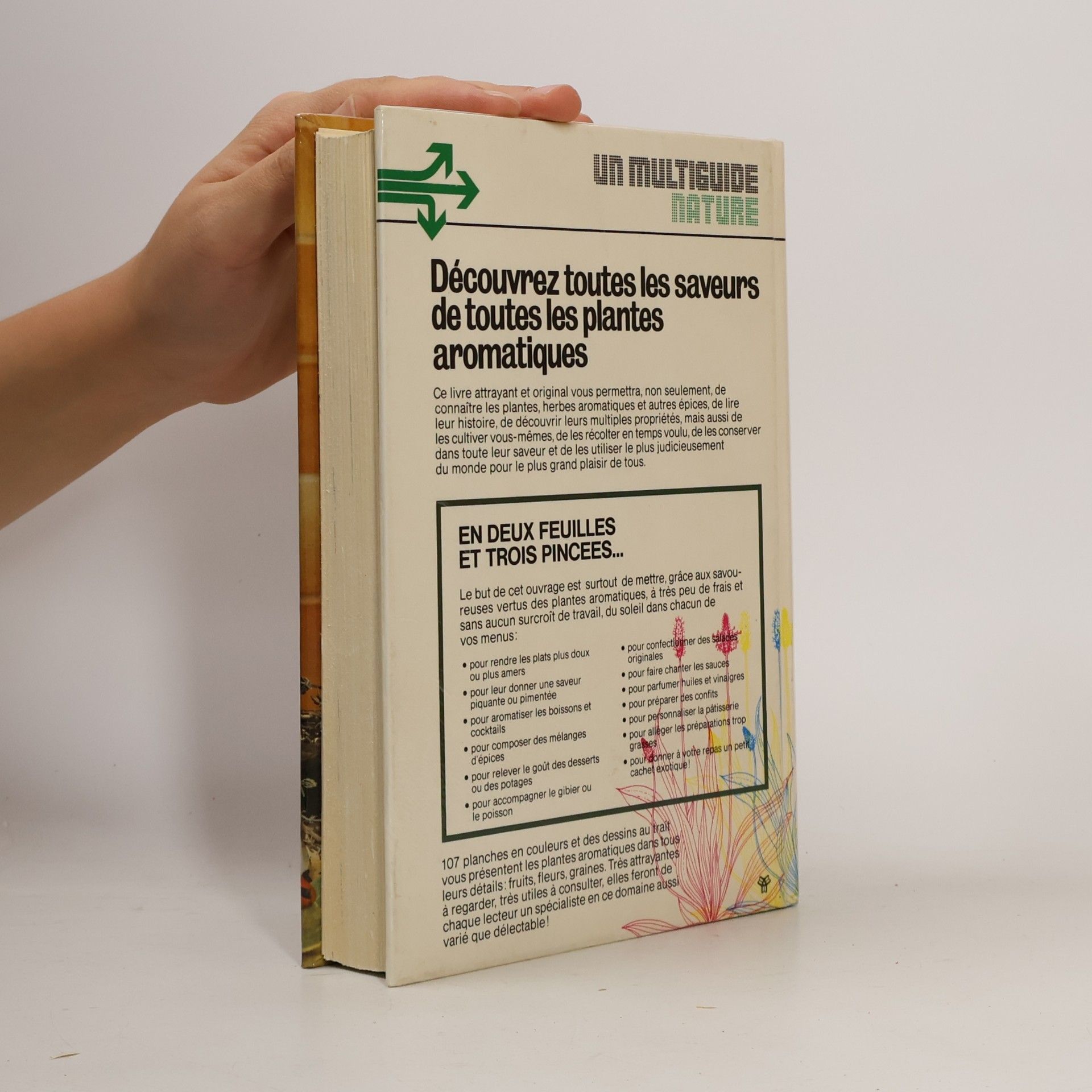 B. Hlava Les plantes saveur qui ensoleillent votre cuisine