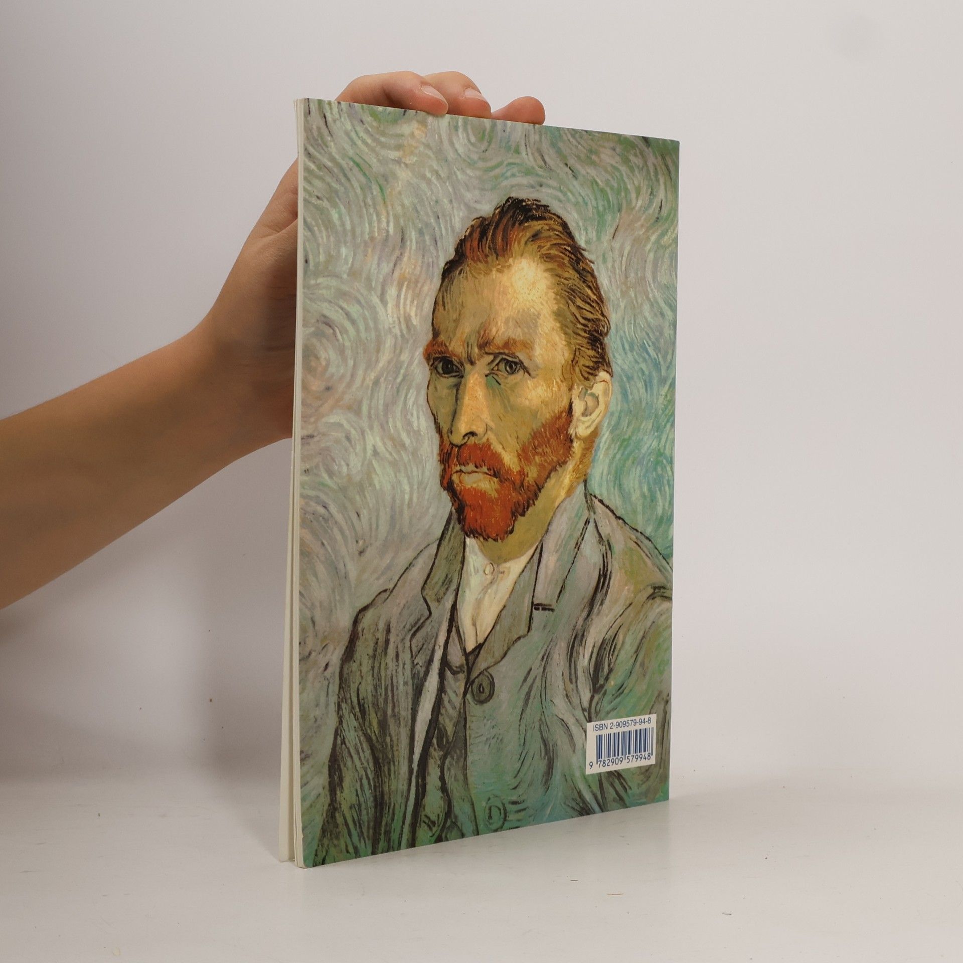 Van Gogh La Provence vue par Van Gogh version française