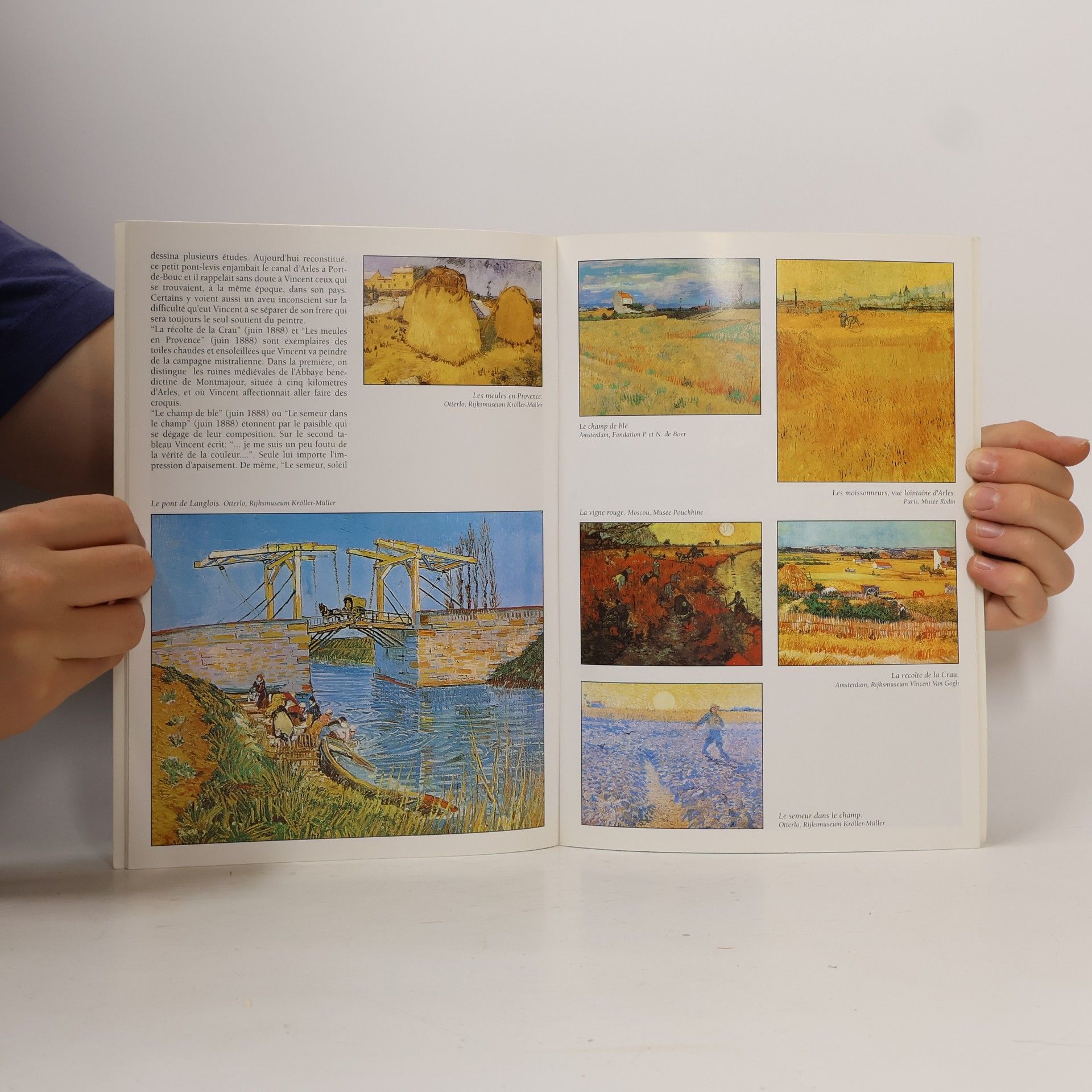 Van Gogh La Provence vue par Van Gogh version française