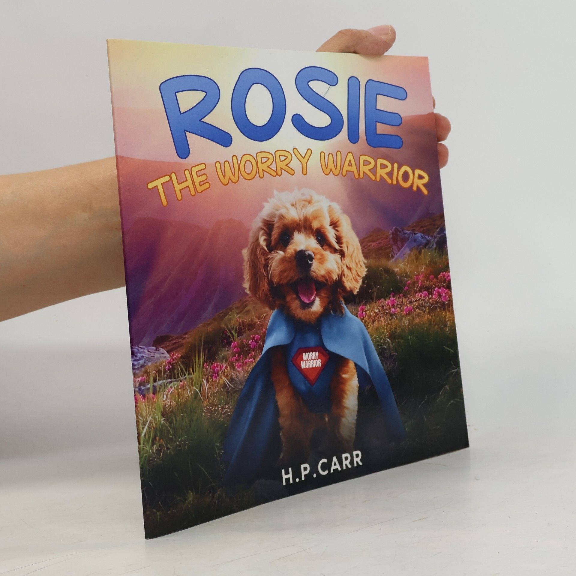 H P Carr Rosie The Worry Warrior