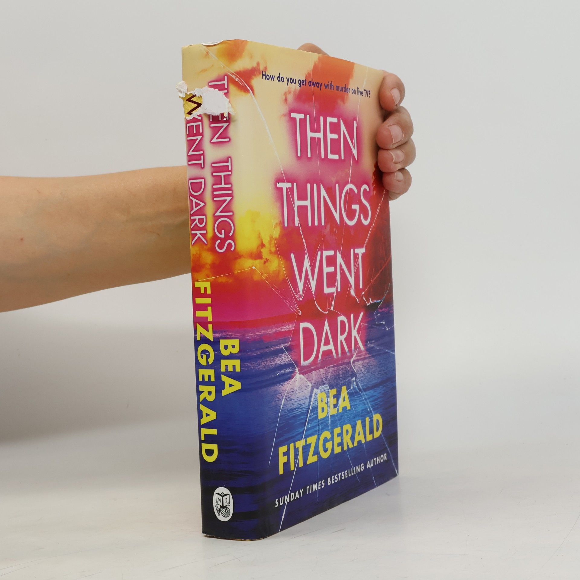 Bea Fitzgerald Then Things Went Dark