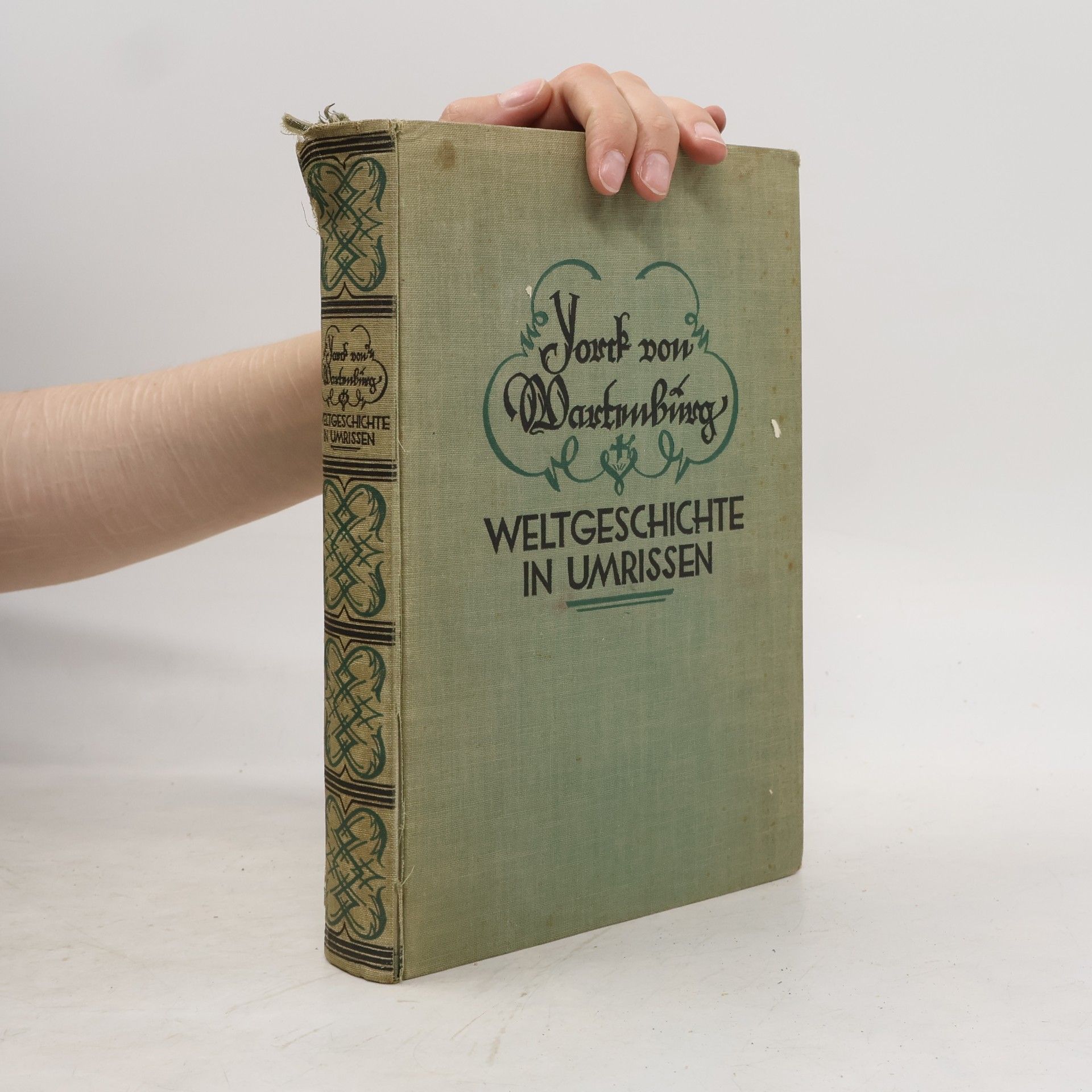 Maximilian Yorck von Wartenburg Weltgeschichte in Umrissen