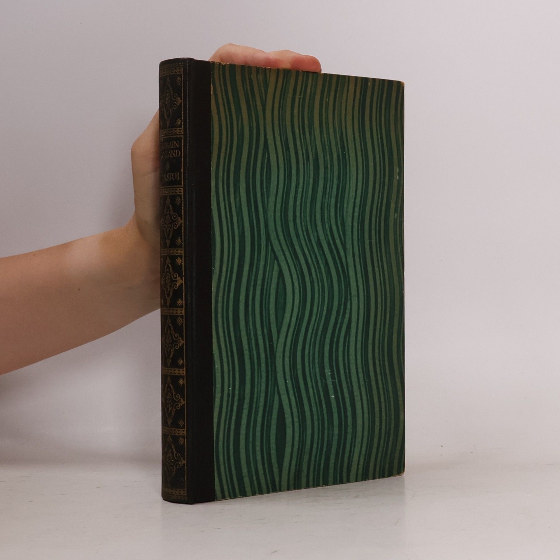 Romain Rolland Das Leben Tolstois