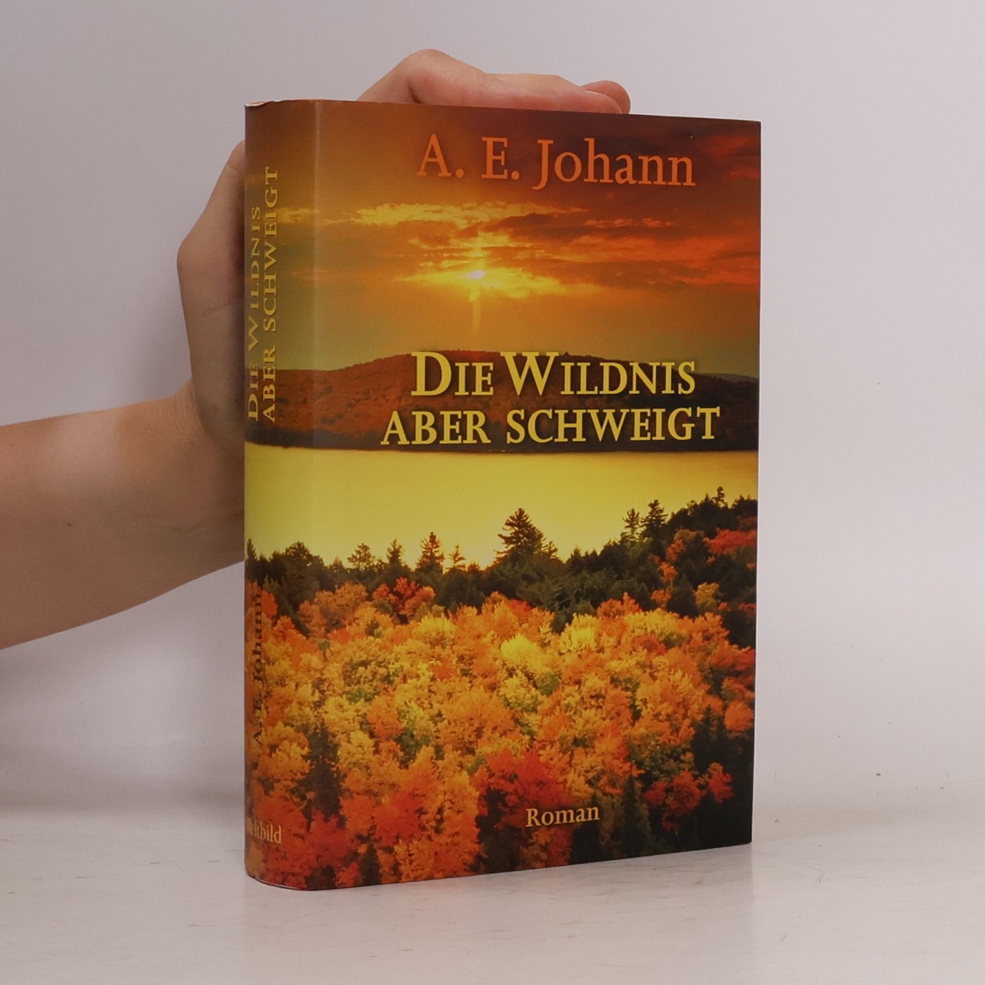 Alfred E. Johann Die Wildnis aber schweigt