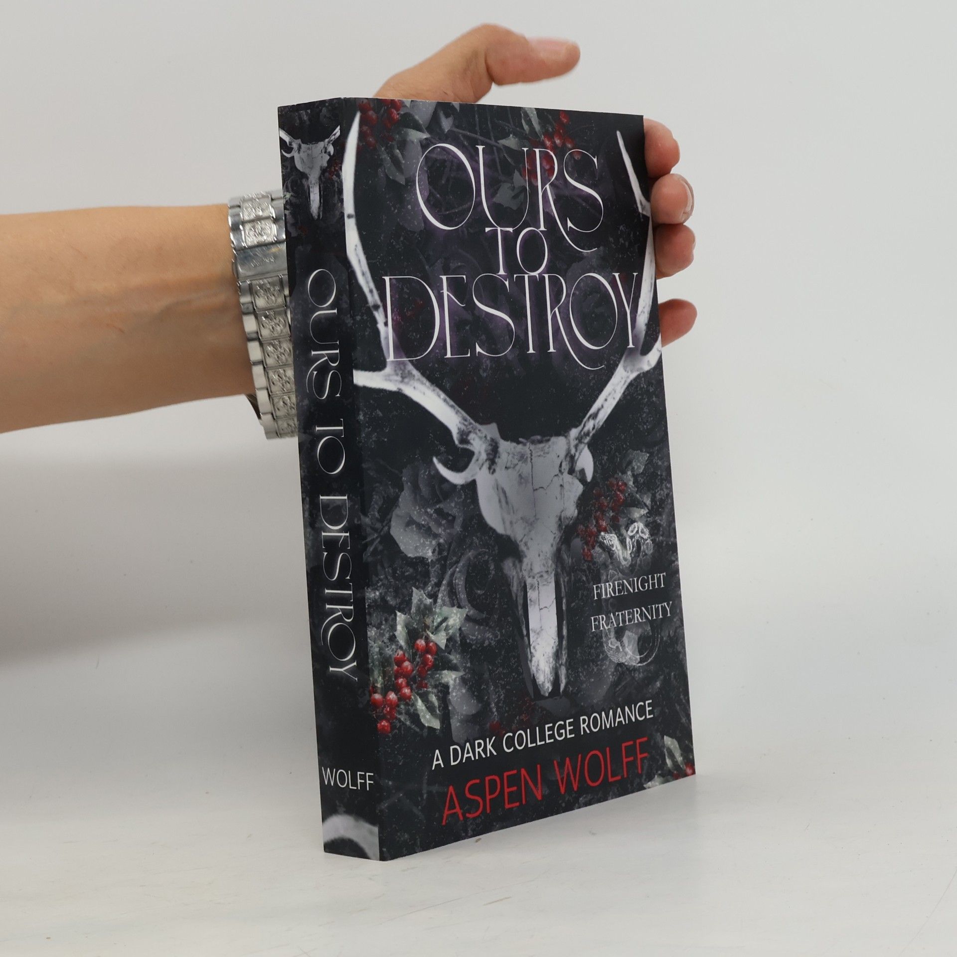 Wolff, Aspen Ours to Destroy: A Dark College Romance (Firenight Novels)