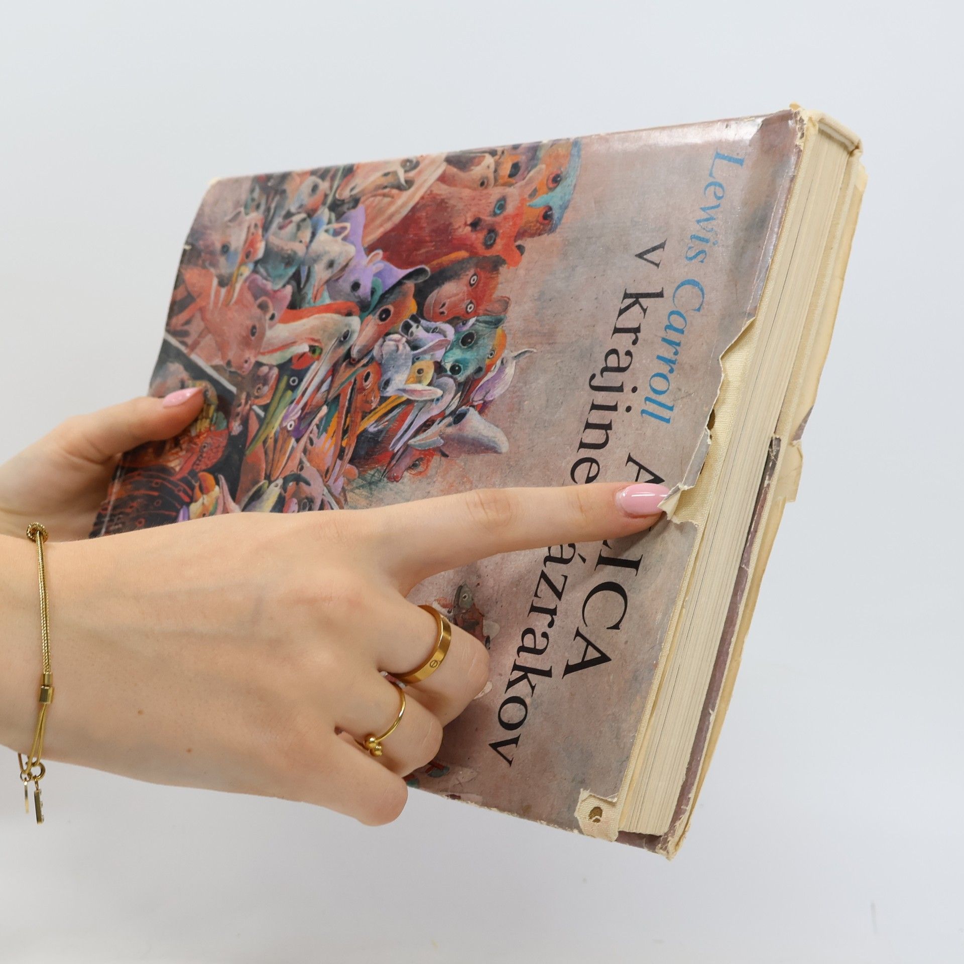 Lewis Carroll Alica v krajine zázrakov