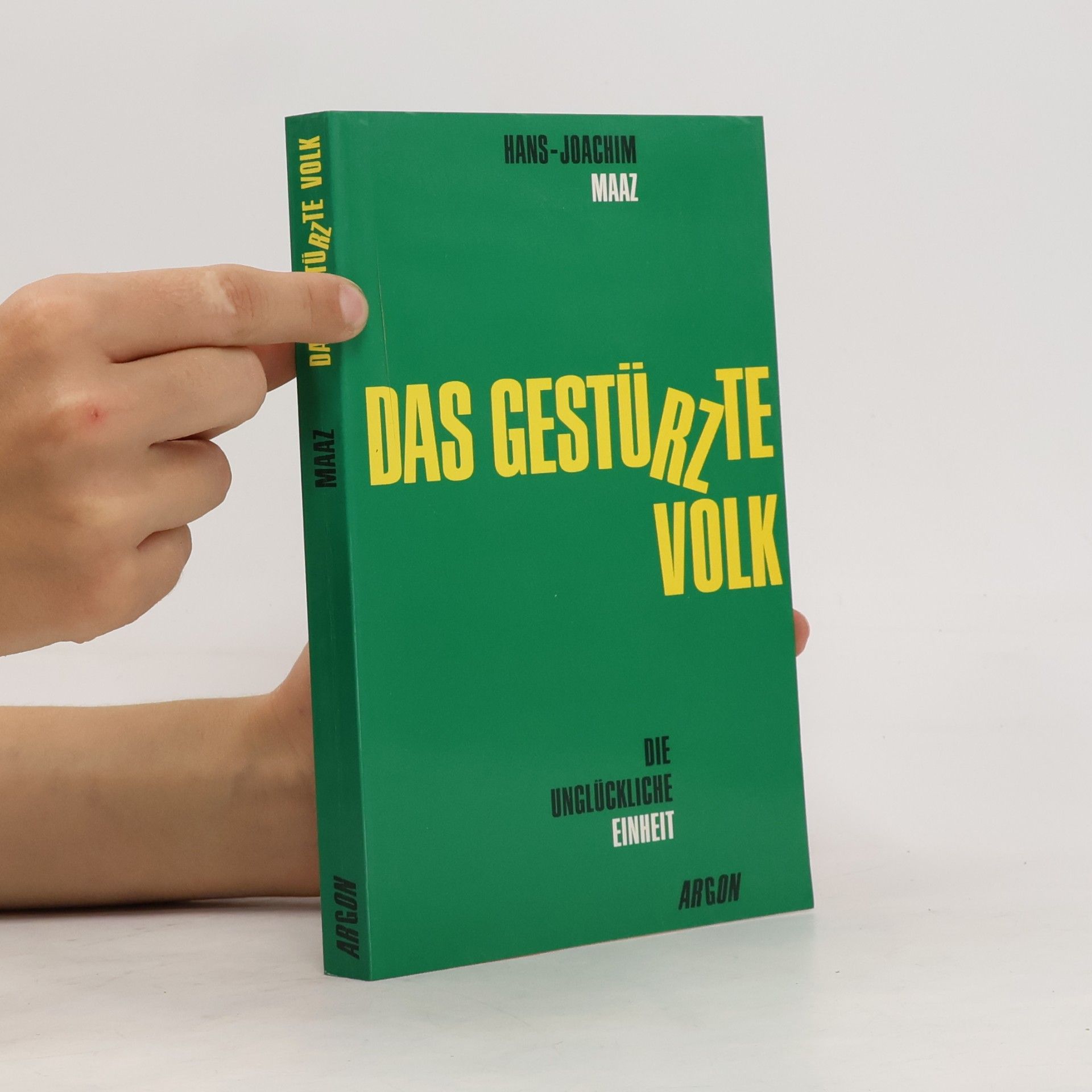 Hans-Joachim Maaz Das gestürzte Volk oder die verunglückte Einheit