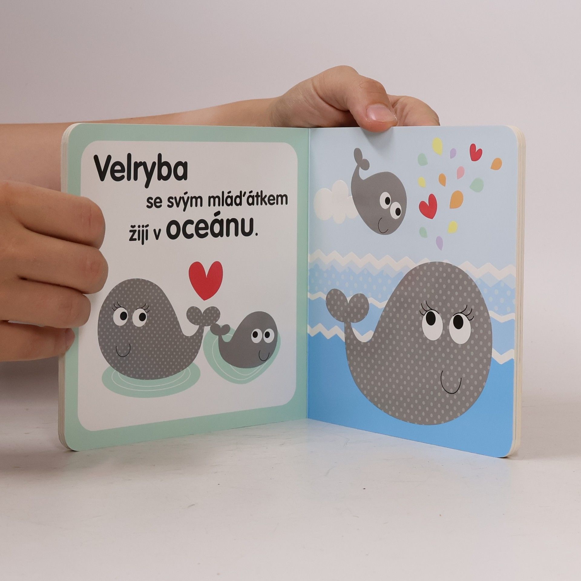 Holly Brook Piper Kde bydlí zvířátka