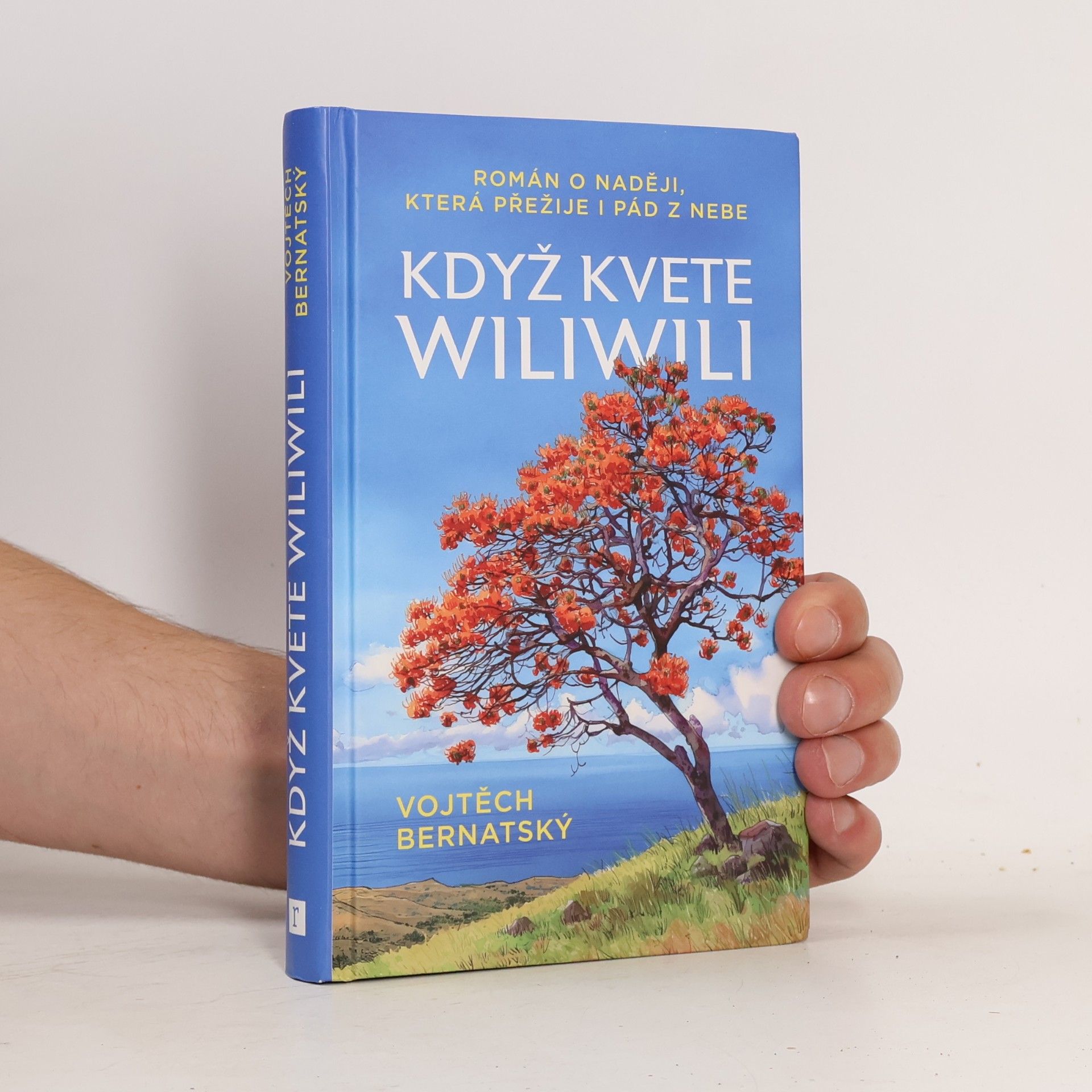 Vojtěch Bernatský Když kvete Wiliwili