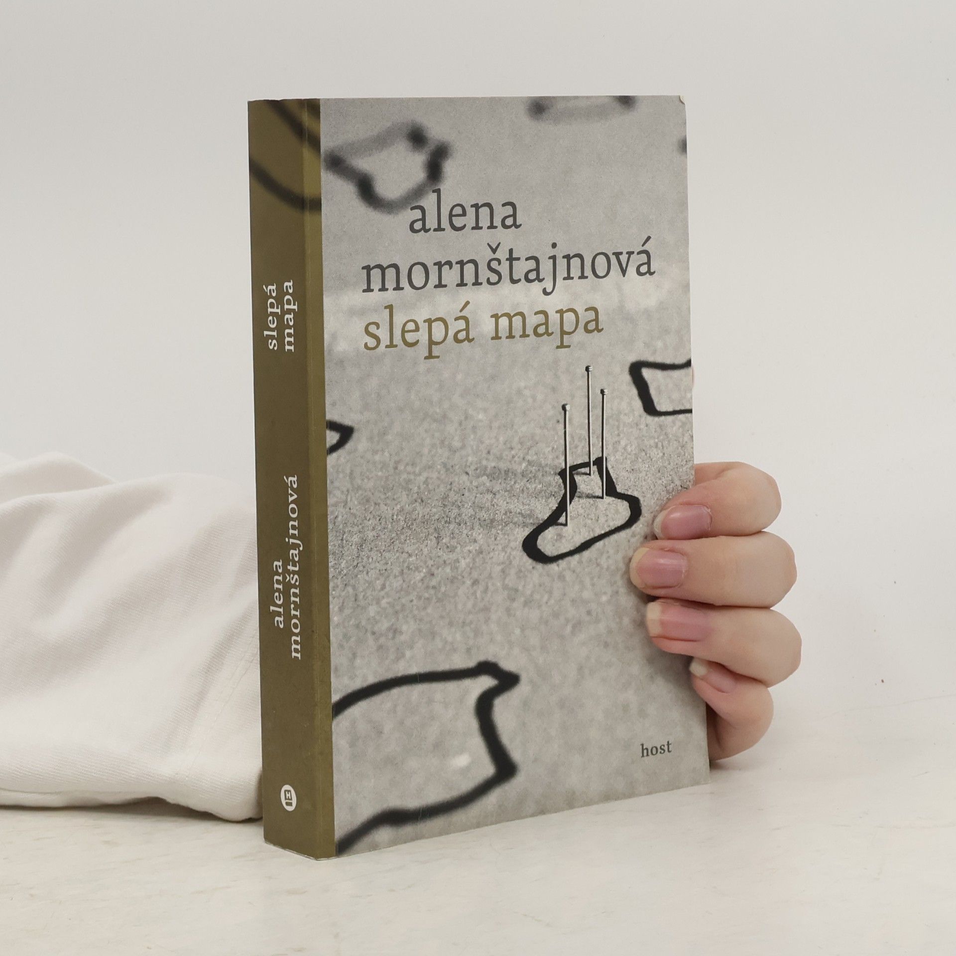 Alena Mornštajnová Slepá mapa