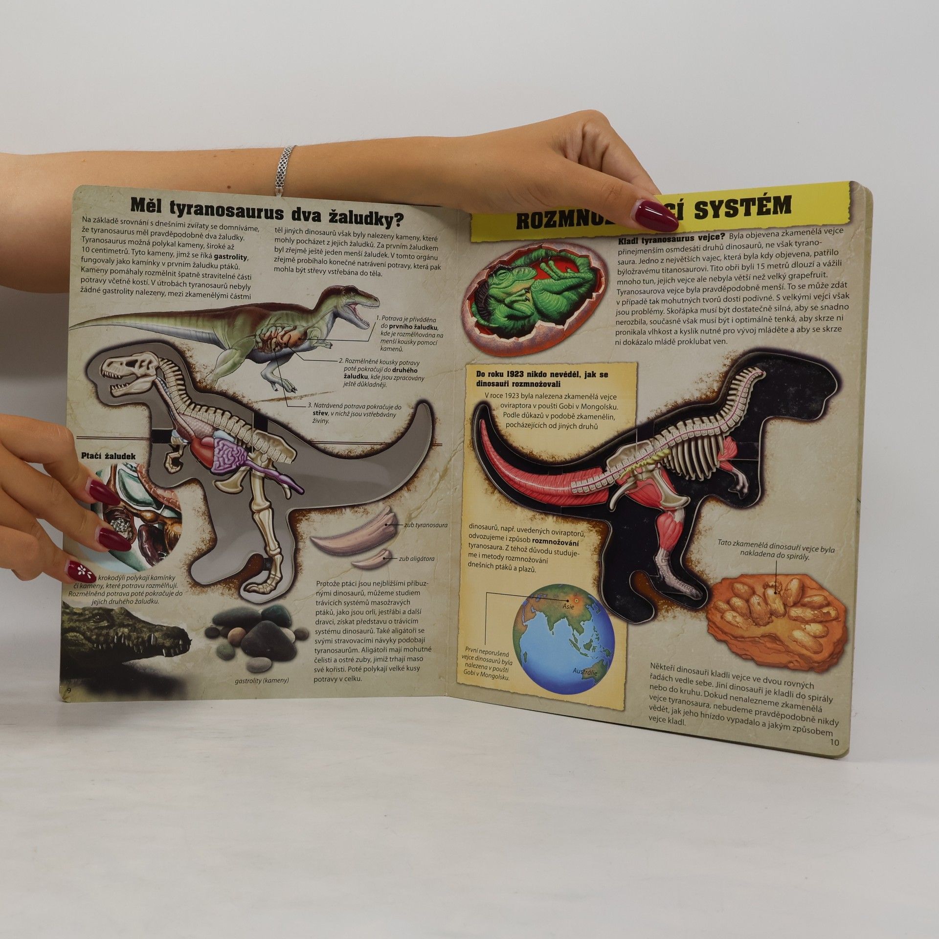 Dennis Schatz Tiranosaurus rex. Poznáváme dinosaury. Prozkoumejte nejslavnějšího dinosaura na světě!