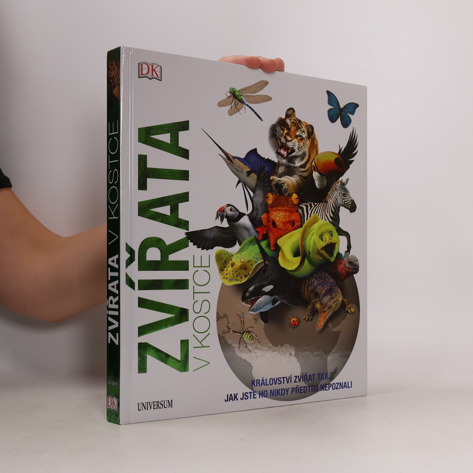 Autores varios Zvířata v kostce
