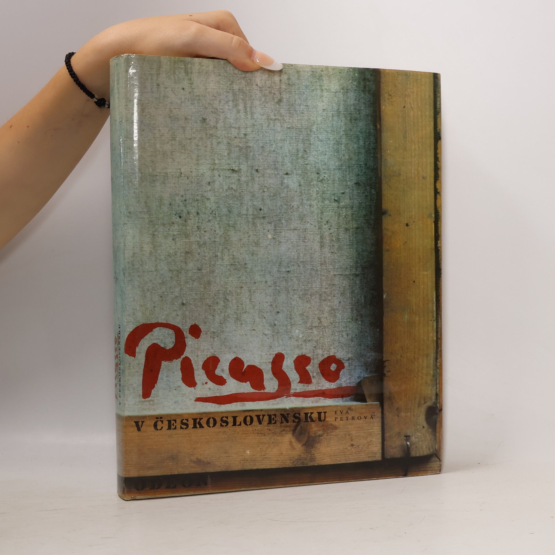 Eva Petrová Picasso v Československu