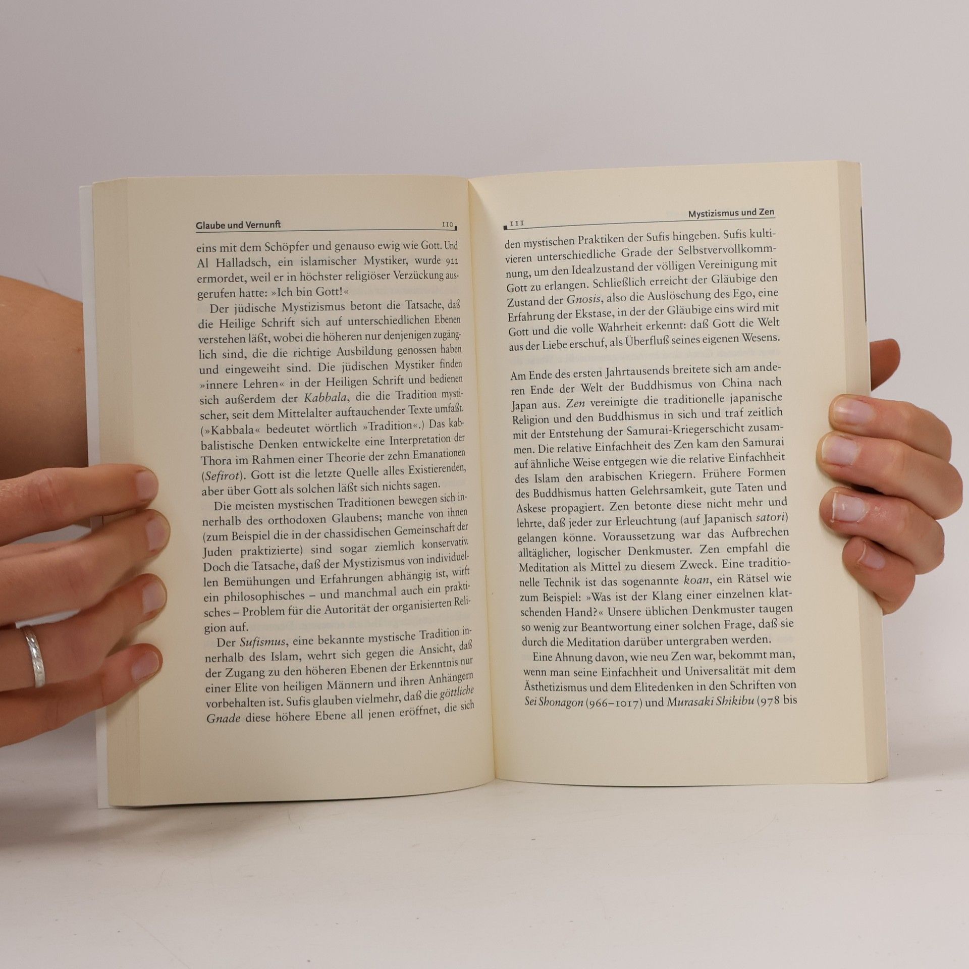 Robert C. Solomon Piper Taschenbuch - 3492: Eine kurze Geschichte der Philosophie