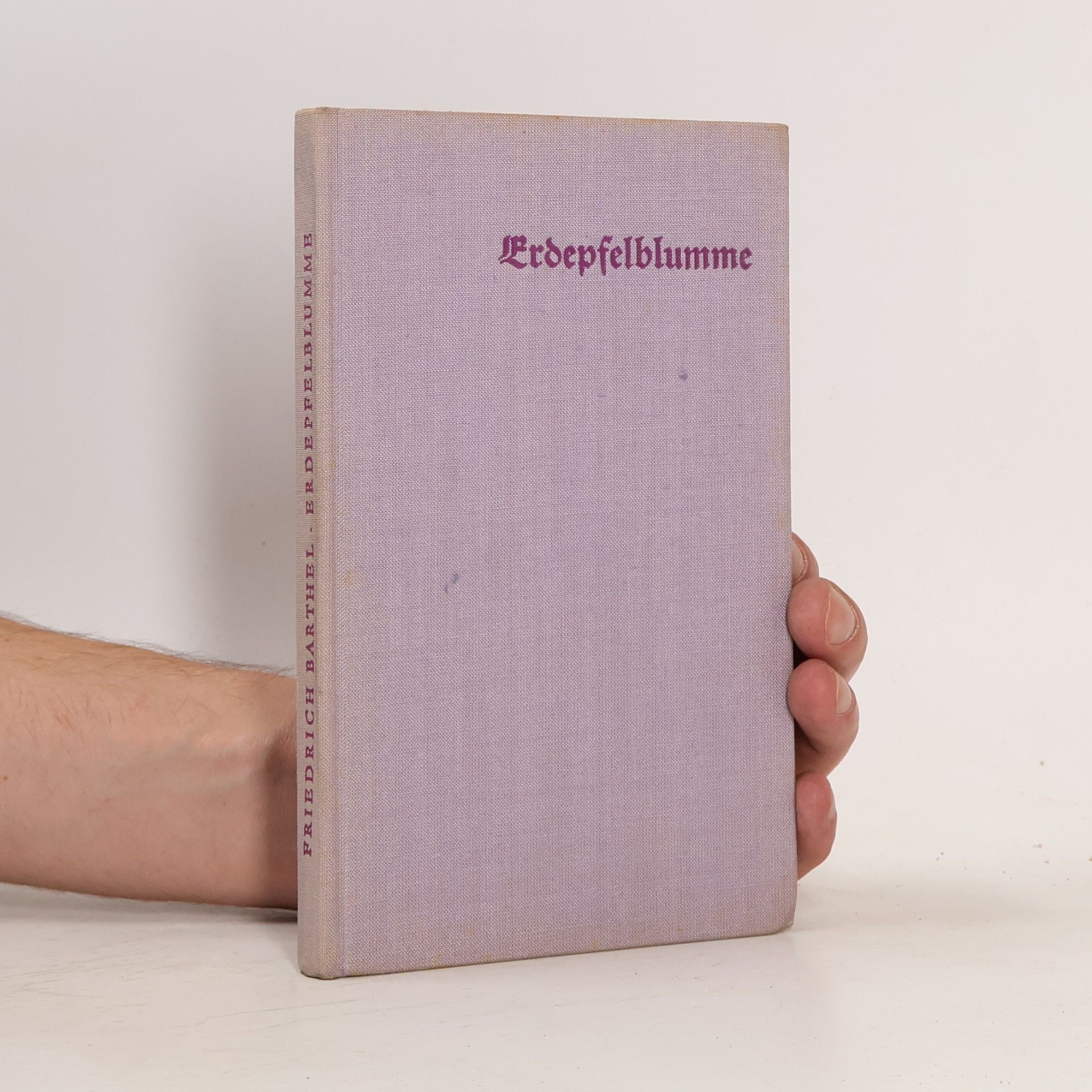 Erdepfelblumme