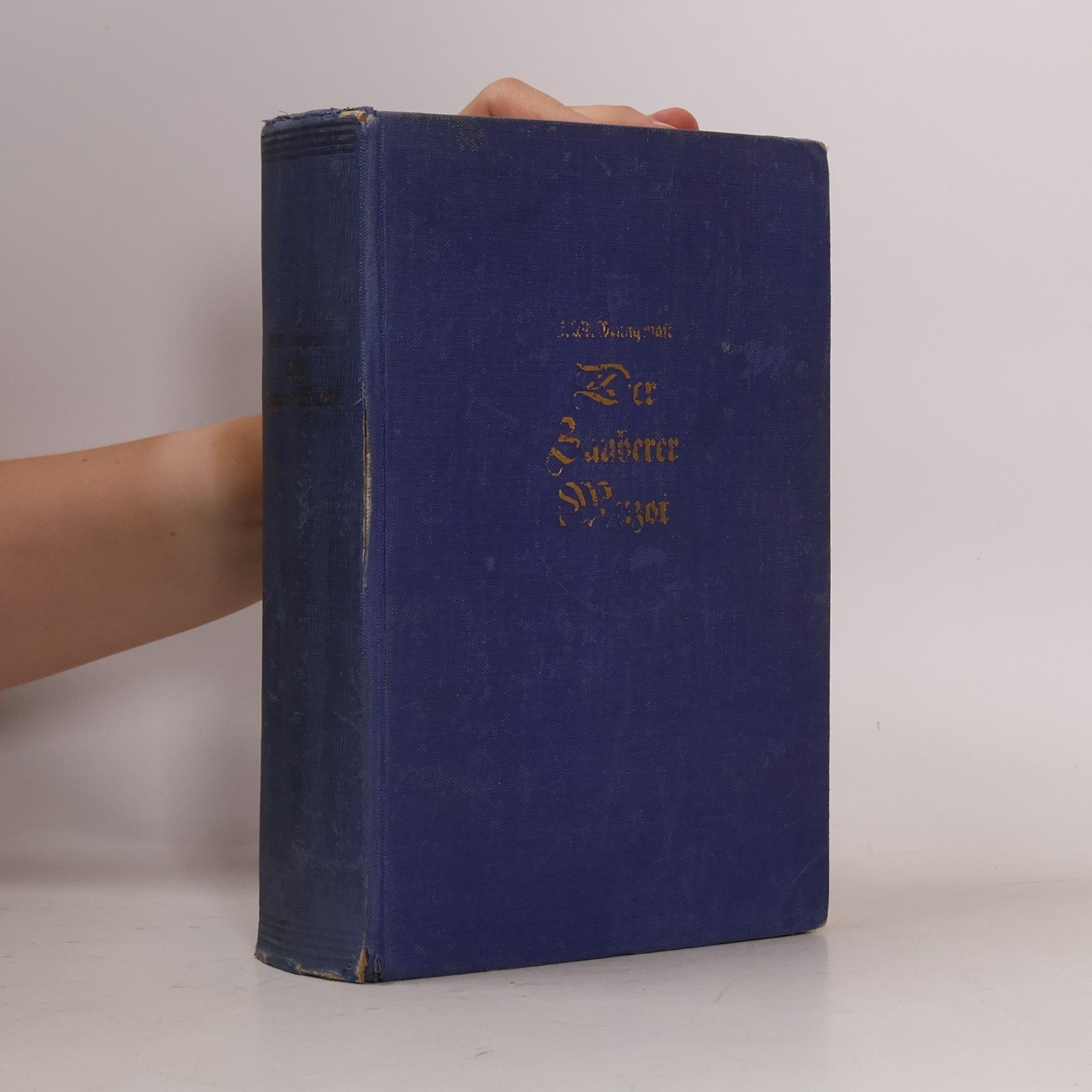 E. M. Mungenast Der Zauberer Muzot