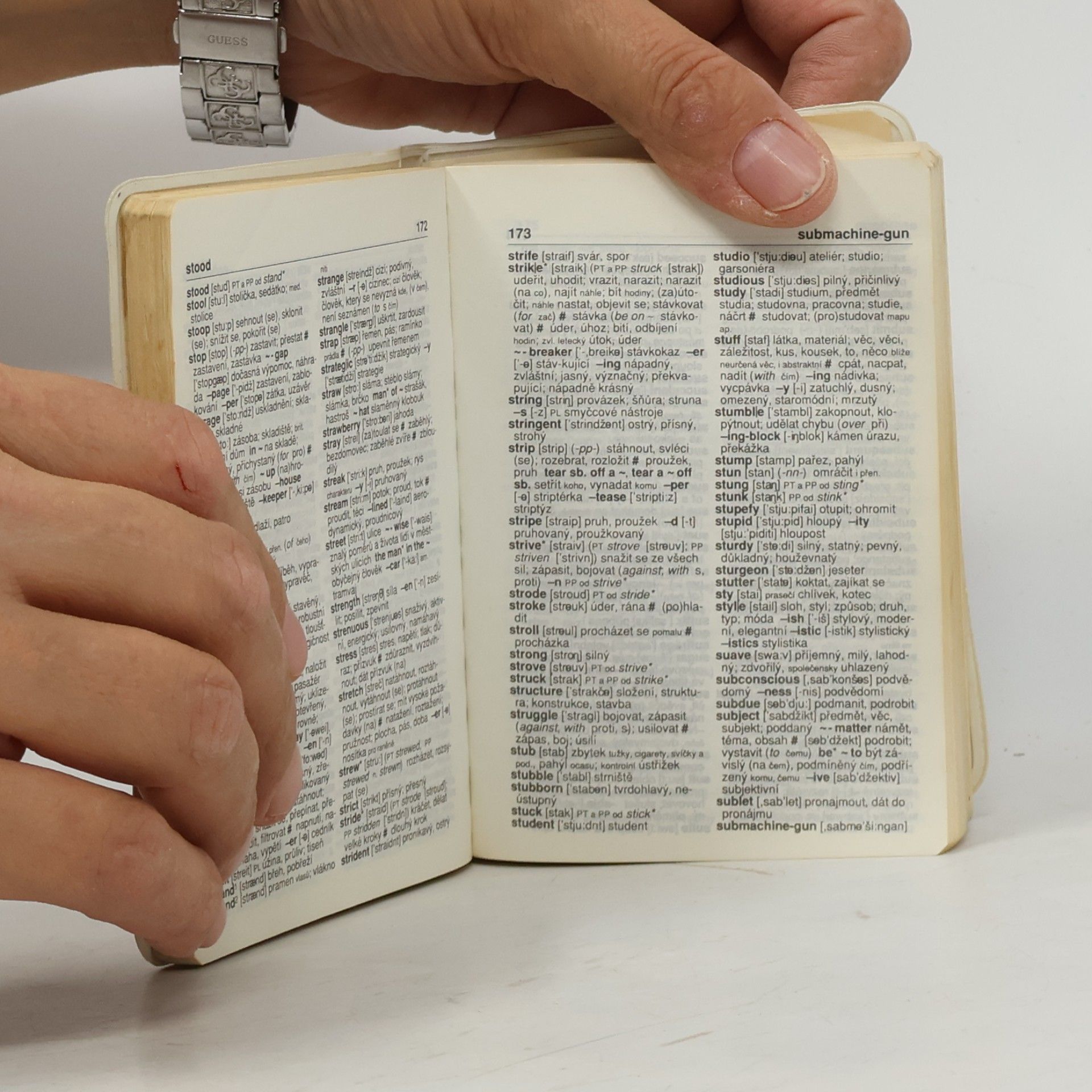 Autorenkollektiv Anglicko-český a česko-anglický slovník