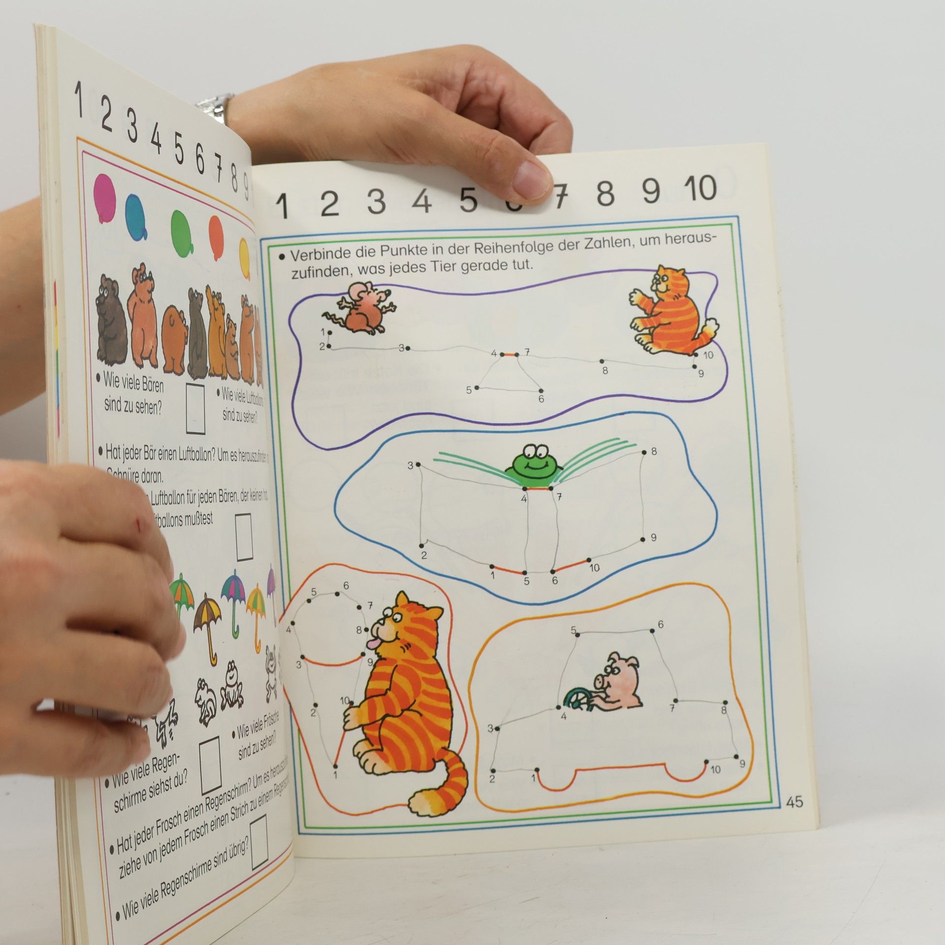 Robyn Gee Das grosse Katz-und-Maus-Buch
