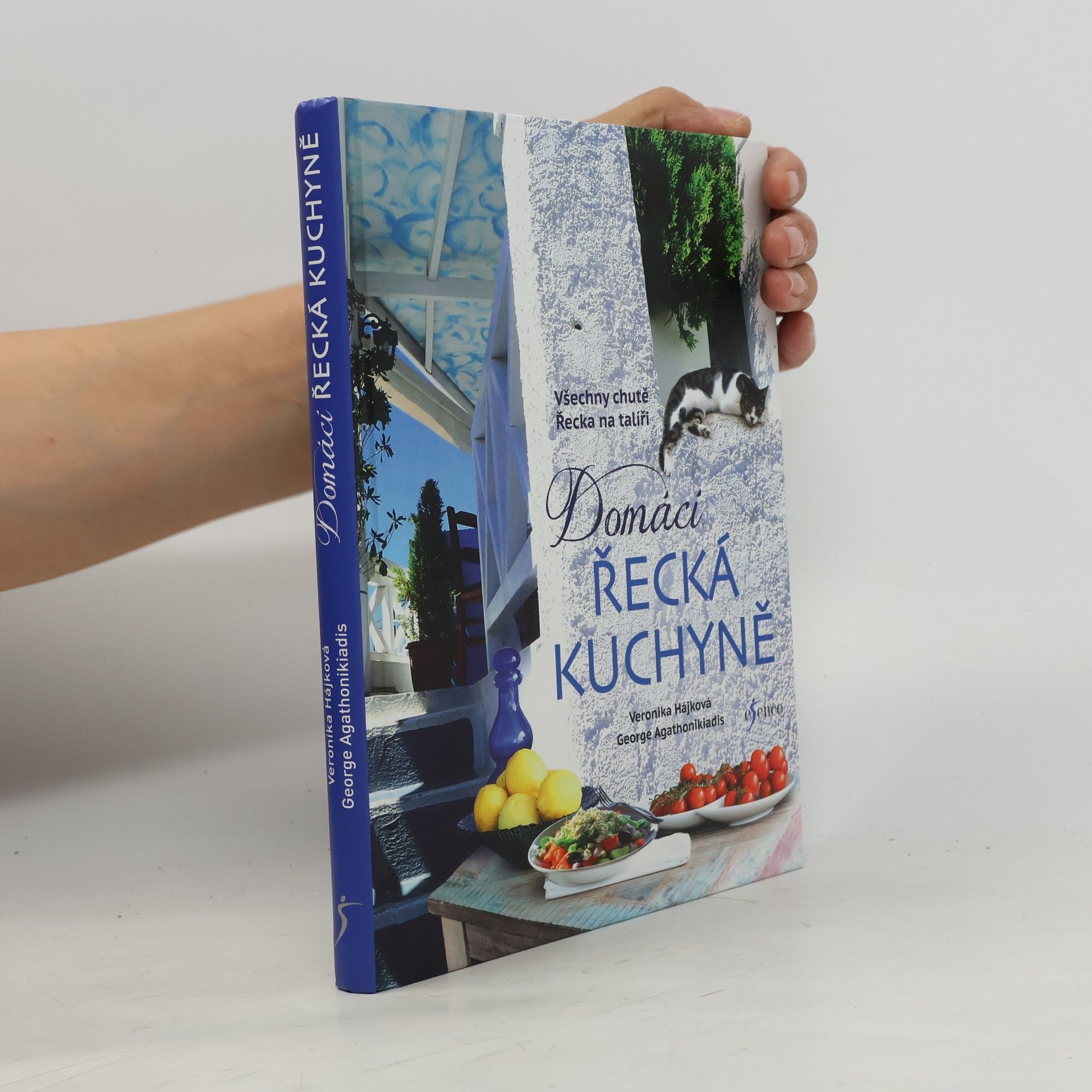 Domácí řecká kuchyně