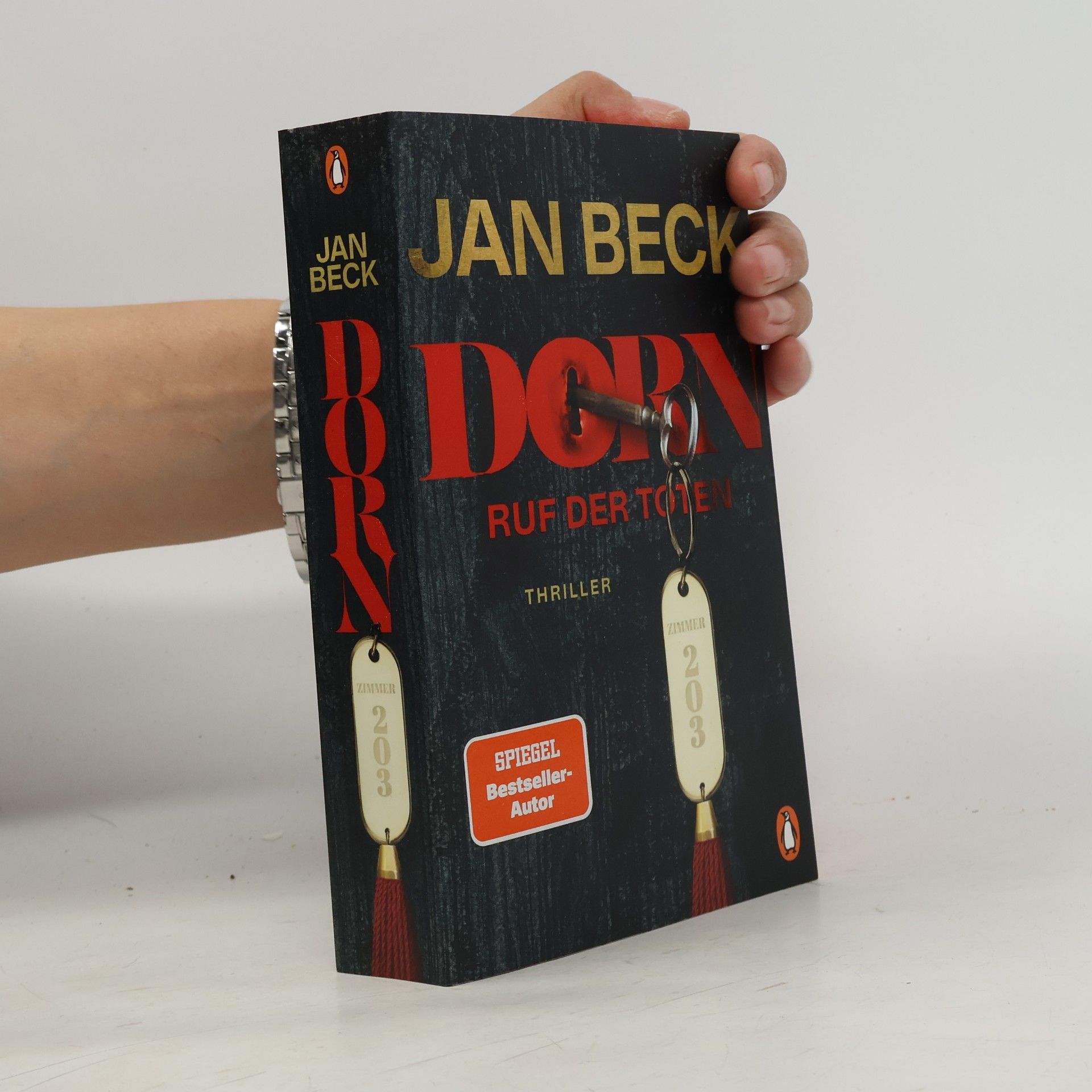 Jan Beck Simon Dorn und Lea Wagner ermitteln - 2: Dorn